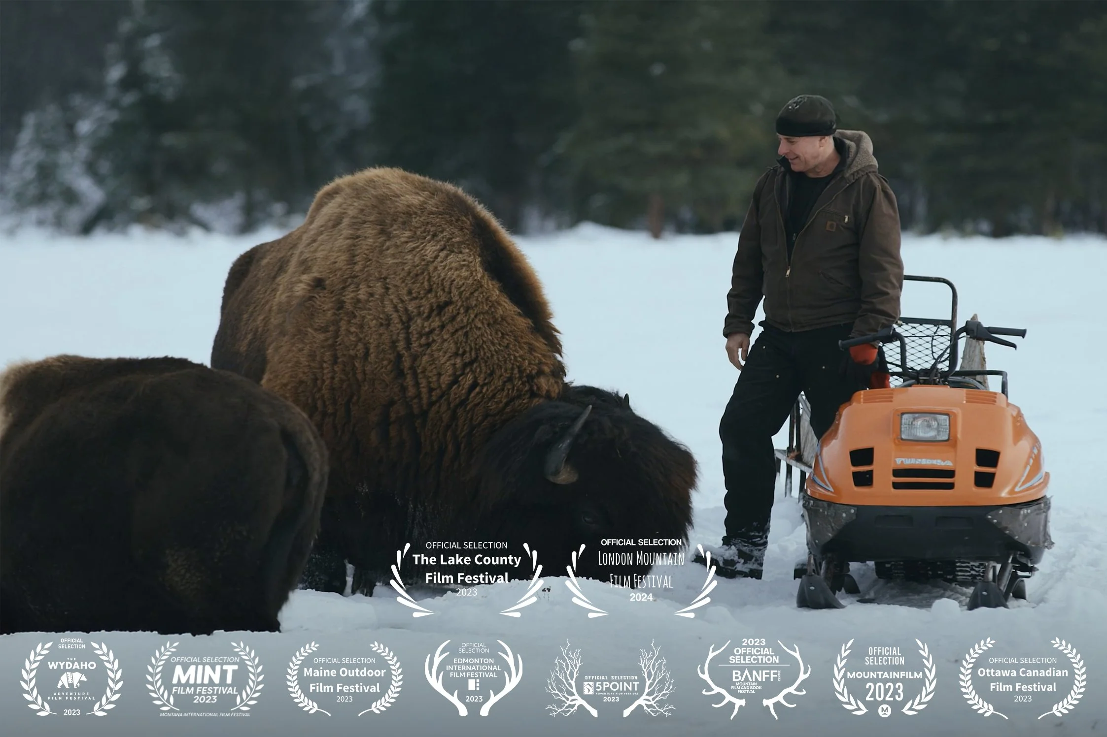 SKIDOO: Leo &  Chester