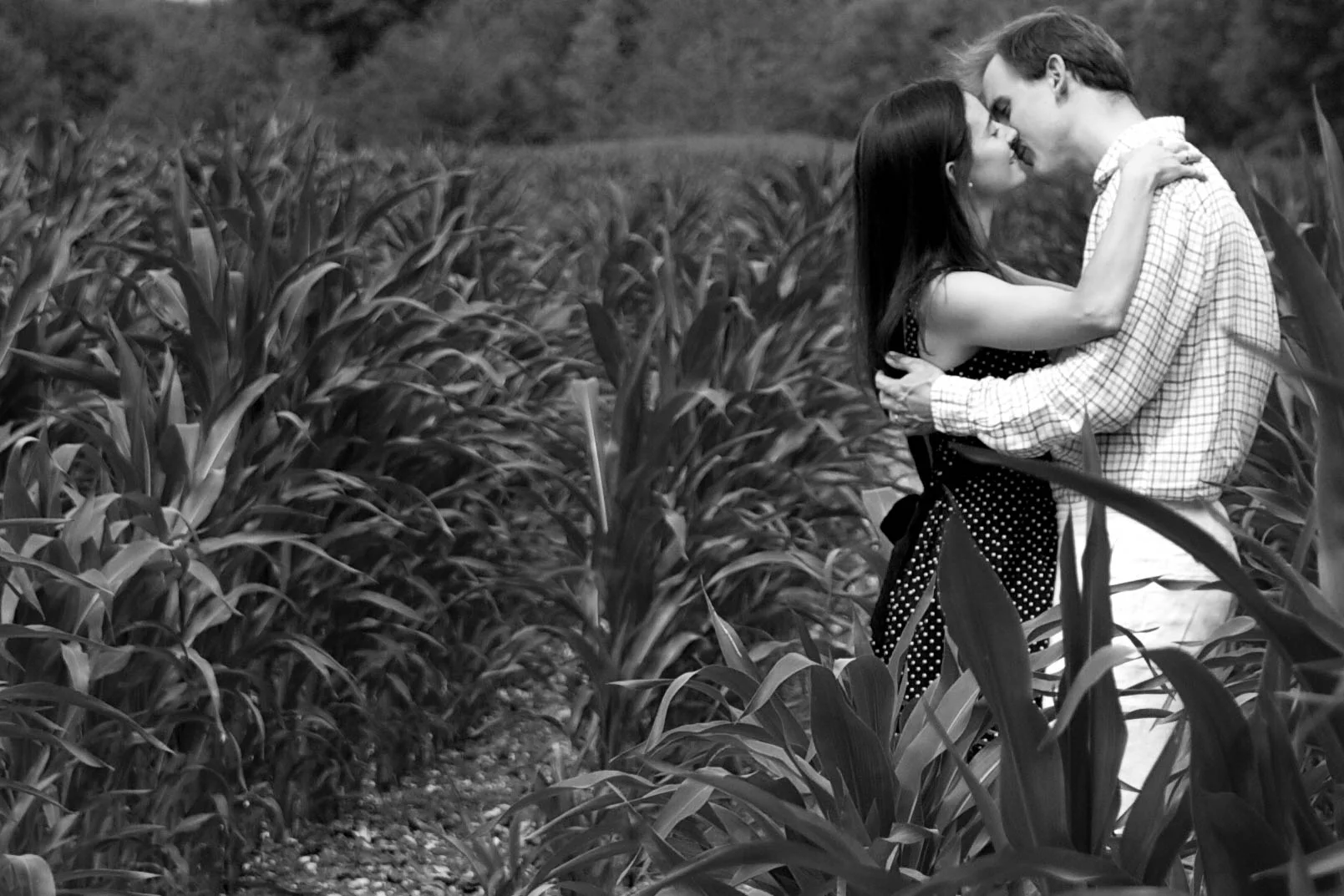 _MG_0340.jpg