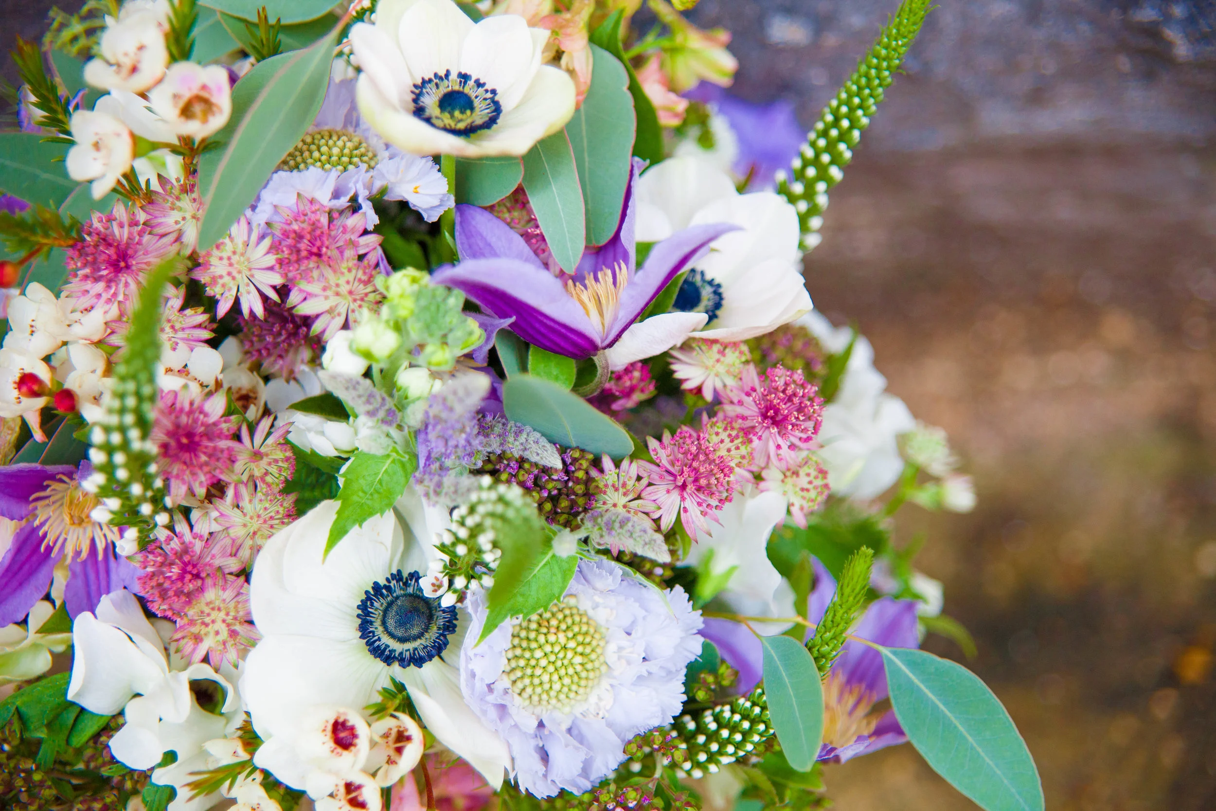 NLPhotography_Clare& Sav_A-137.jpg