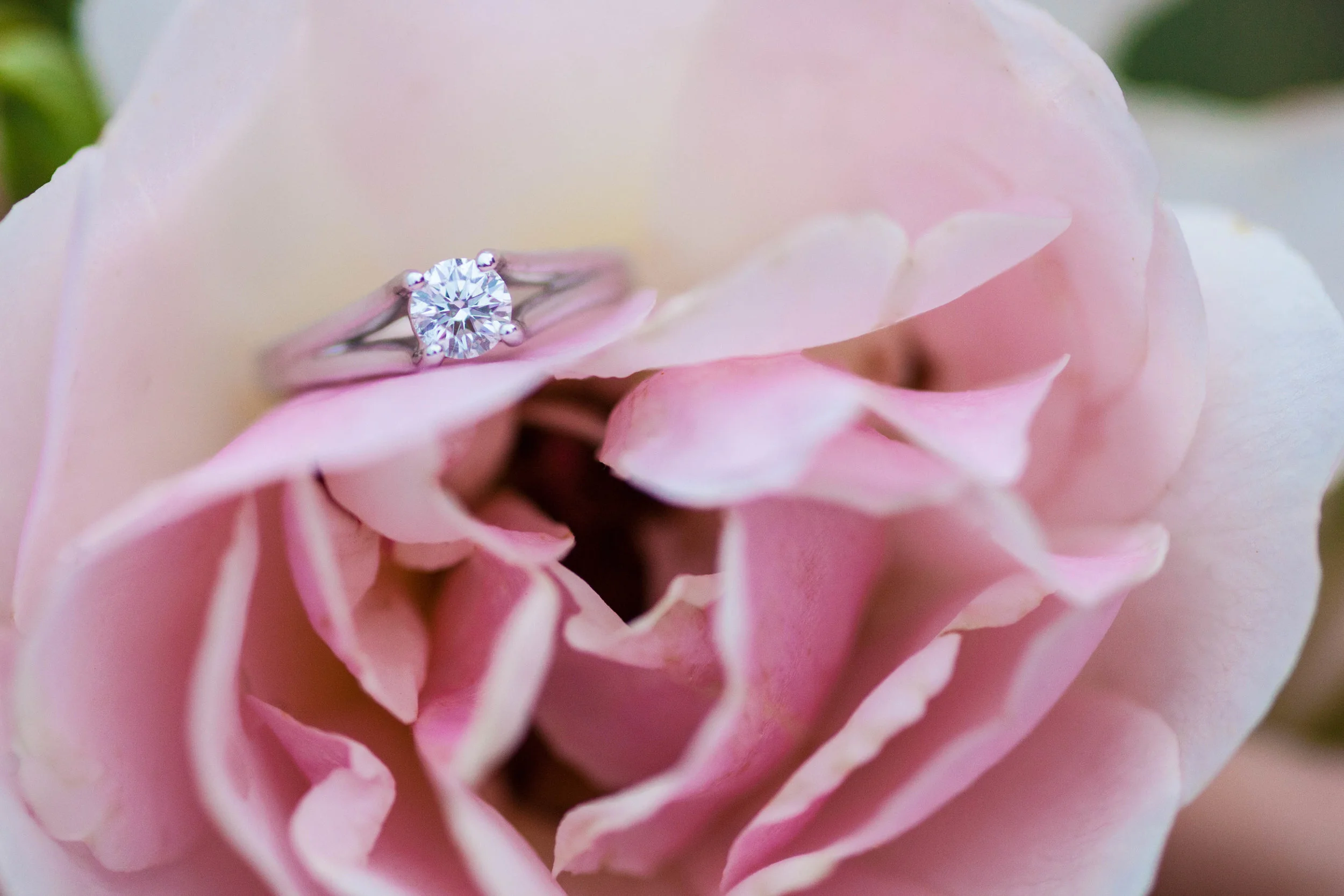 NLPhotography_Clare& Sav_A-814.jpg