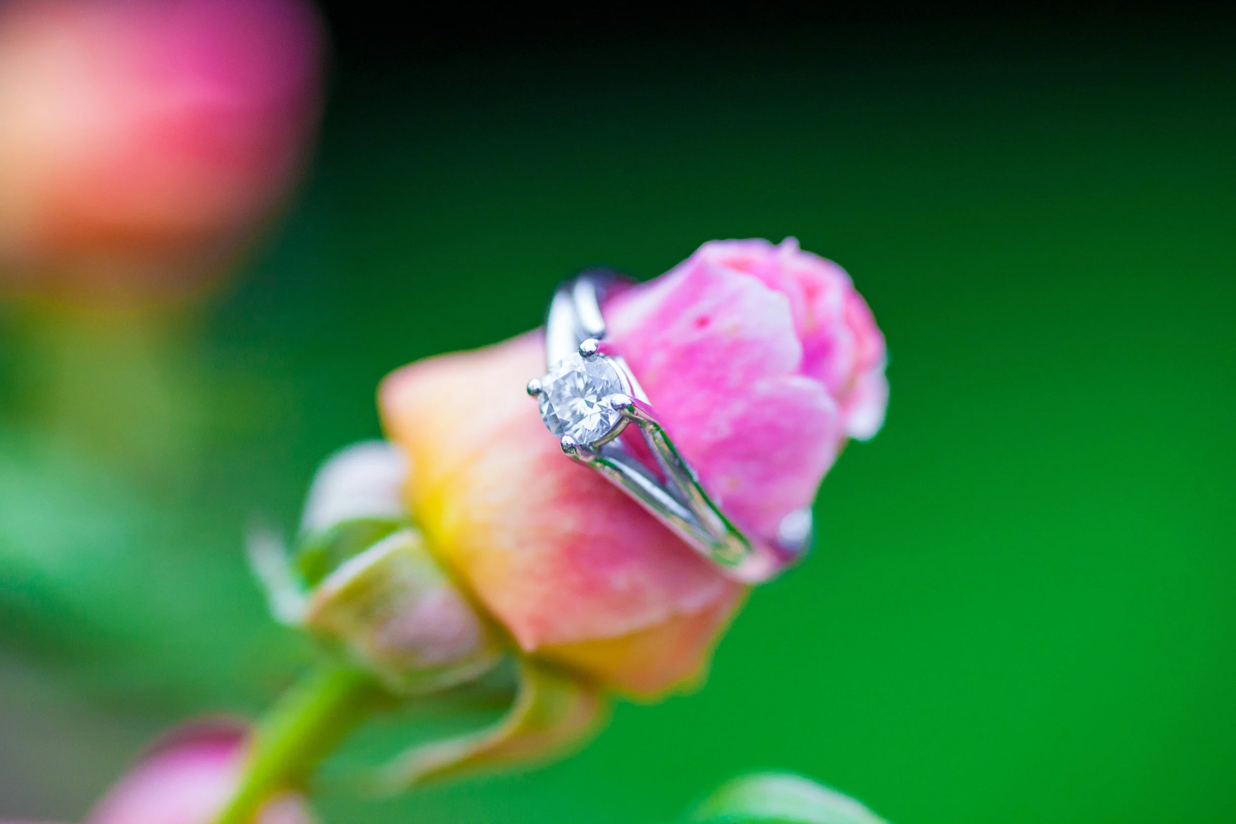 NLPhotography_Clare& Sav_A-815.jpg