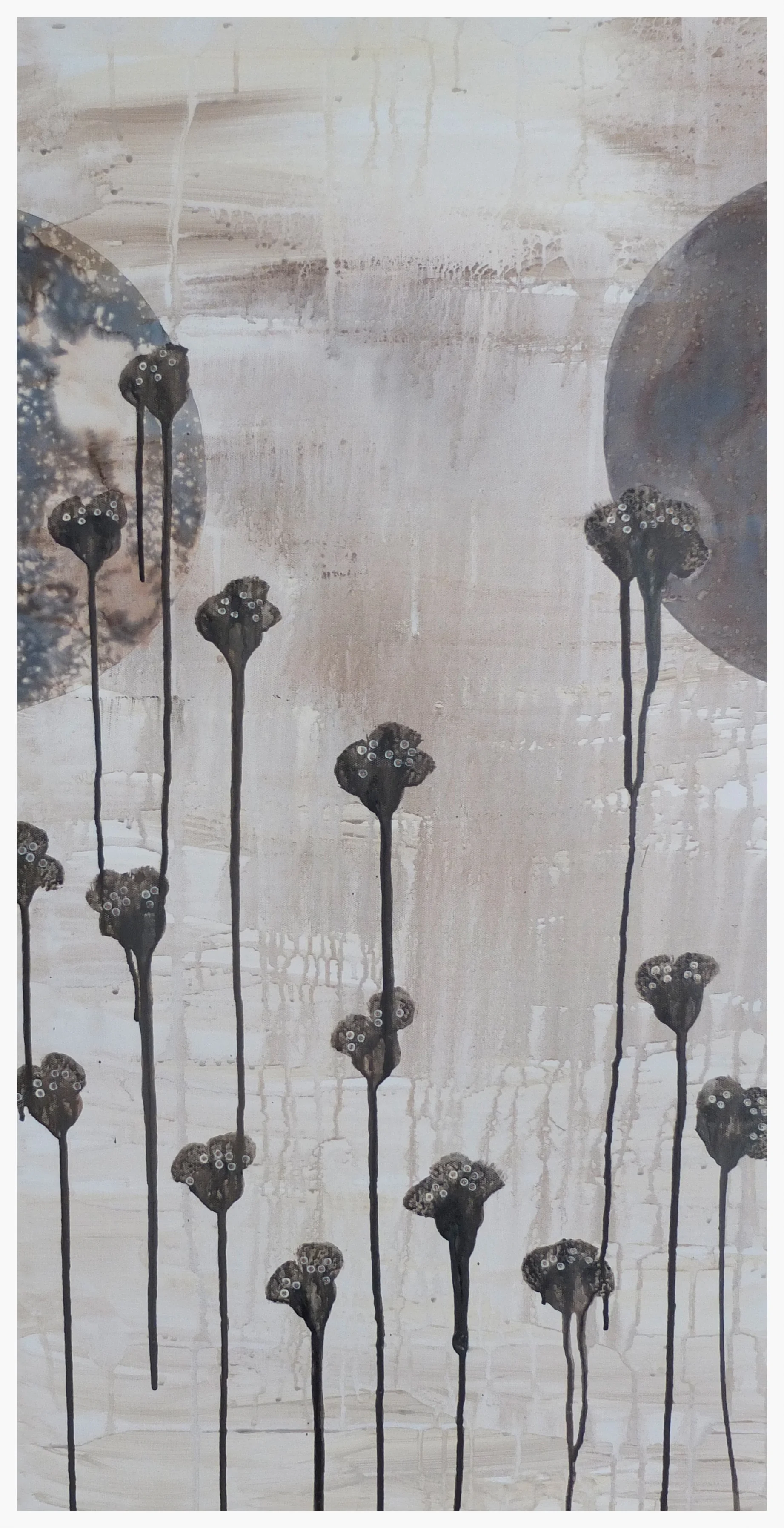 Before the morning sun.