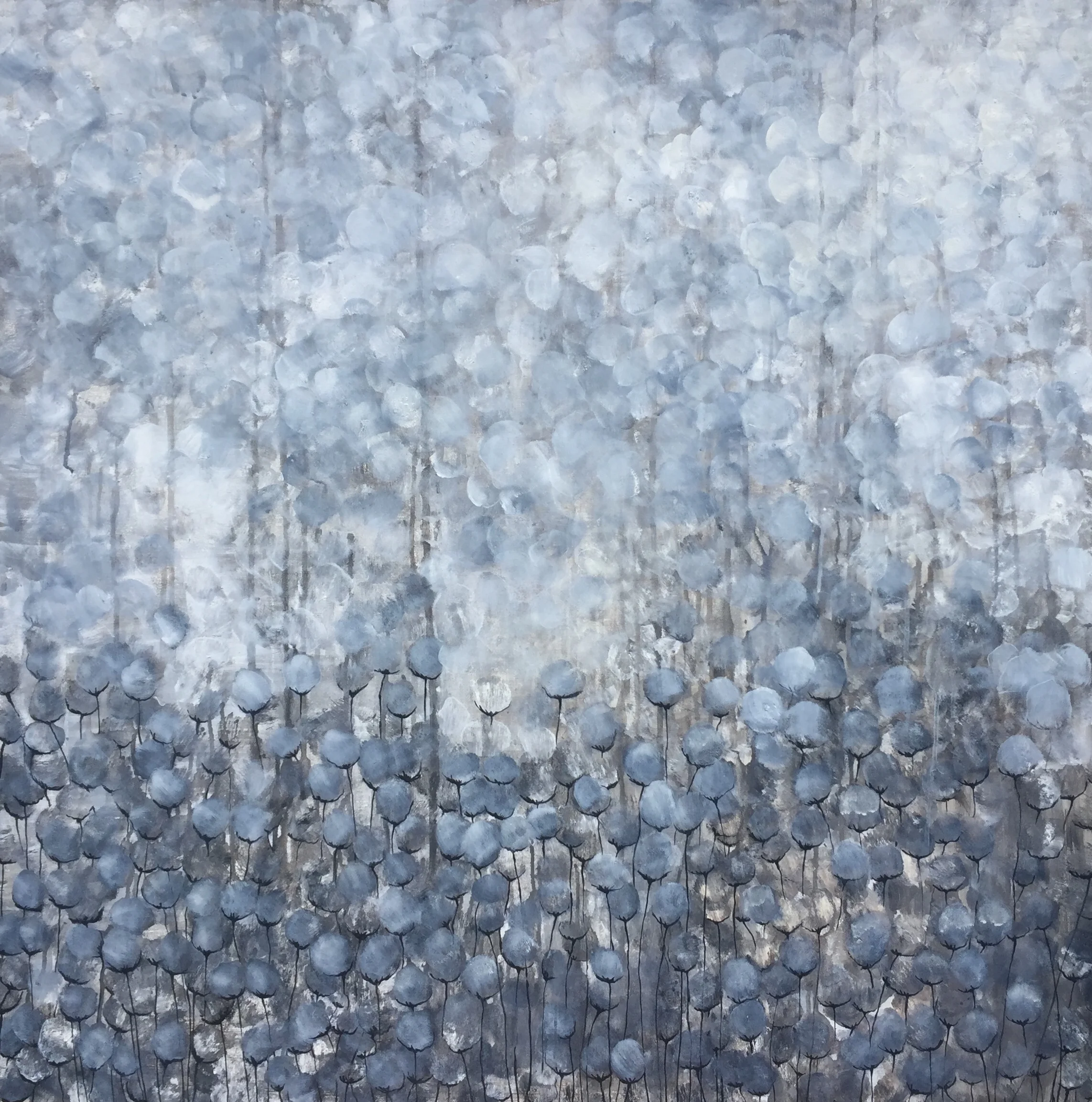 See the world you brought to life