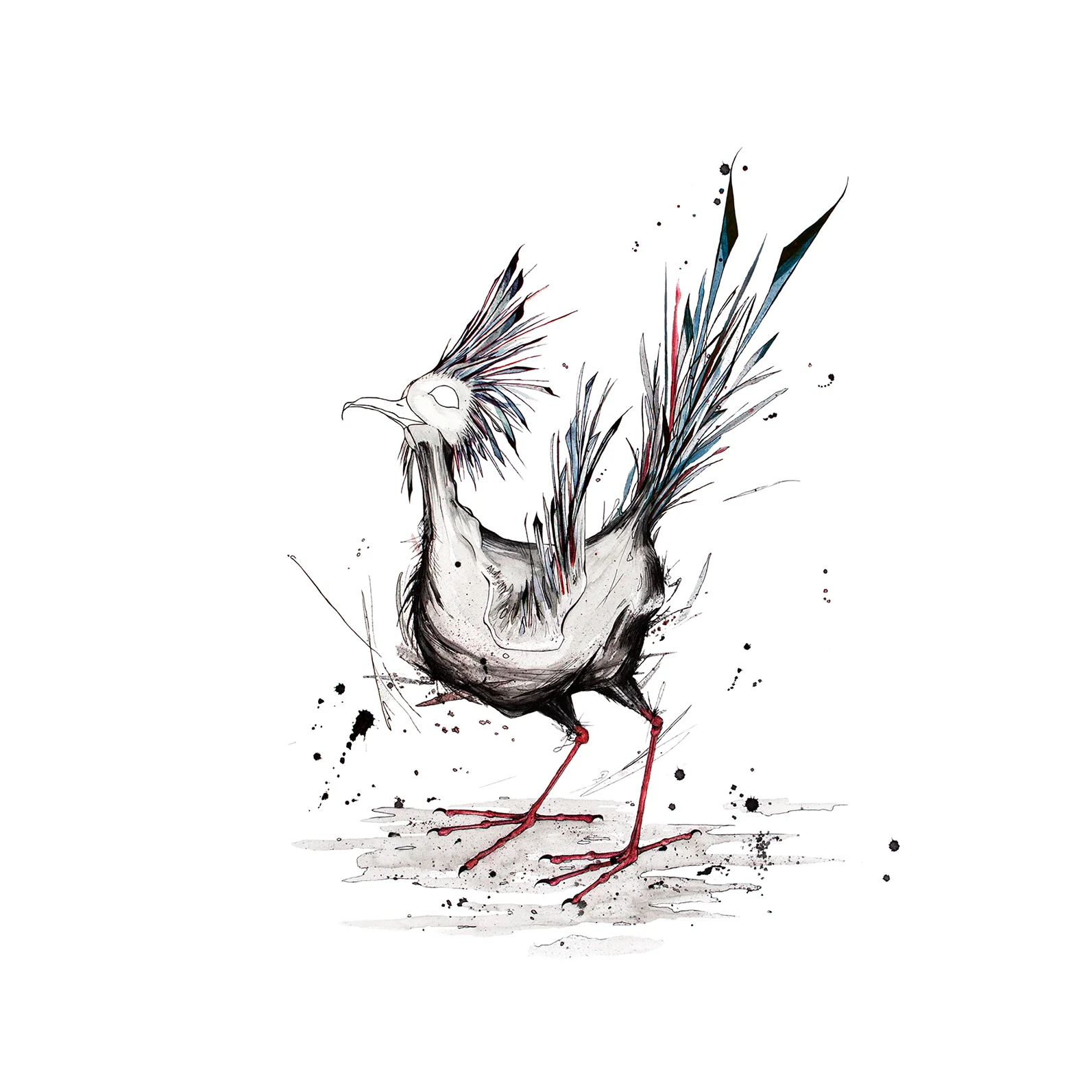 Pajarito Sucia