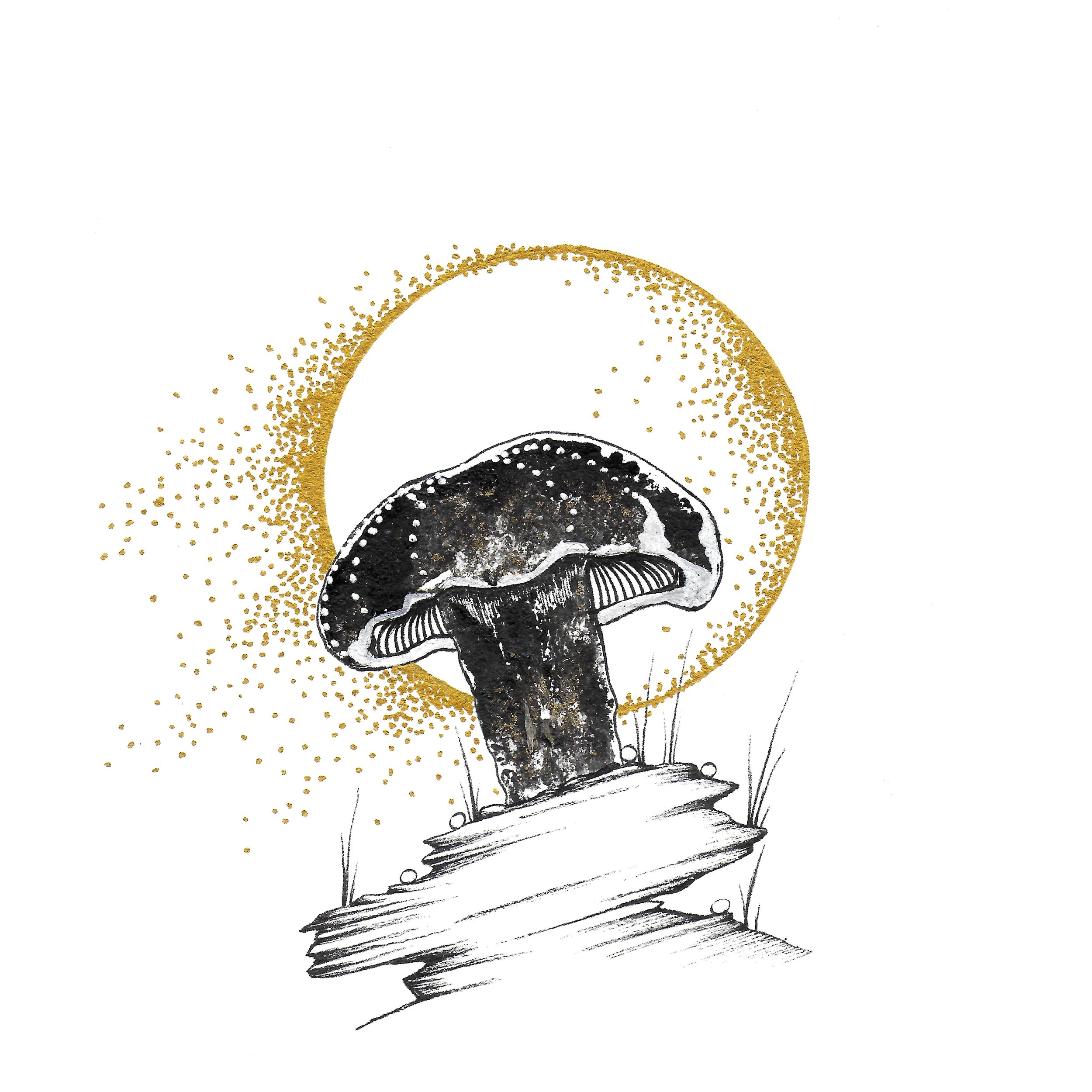 Mushroom_7.jpeg