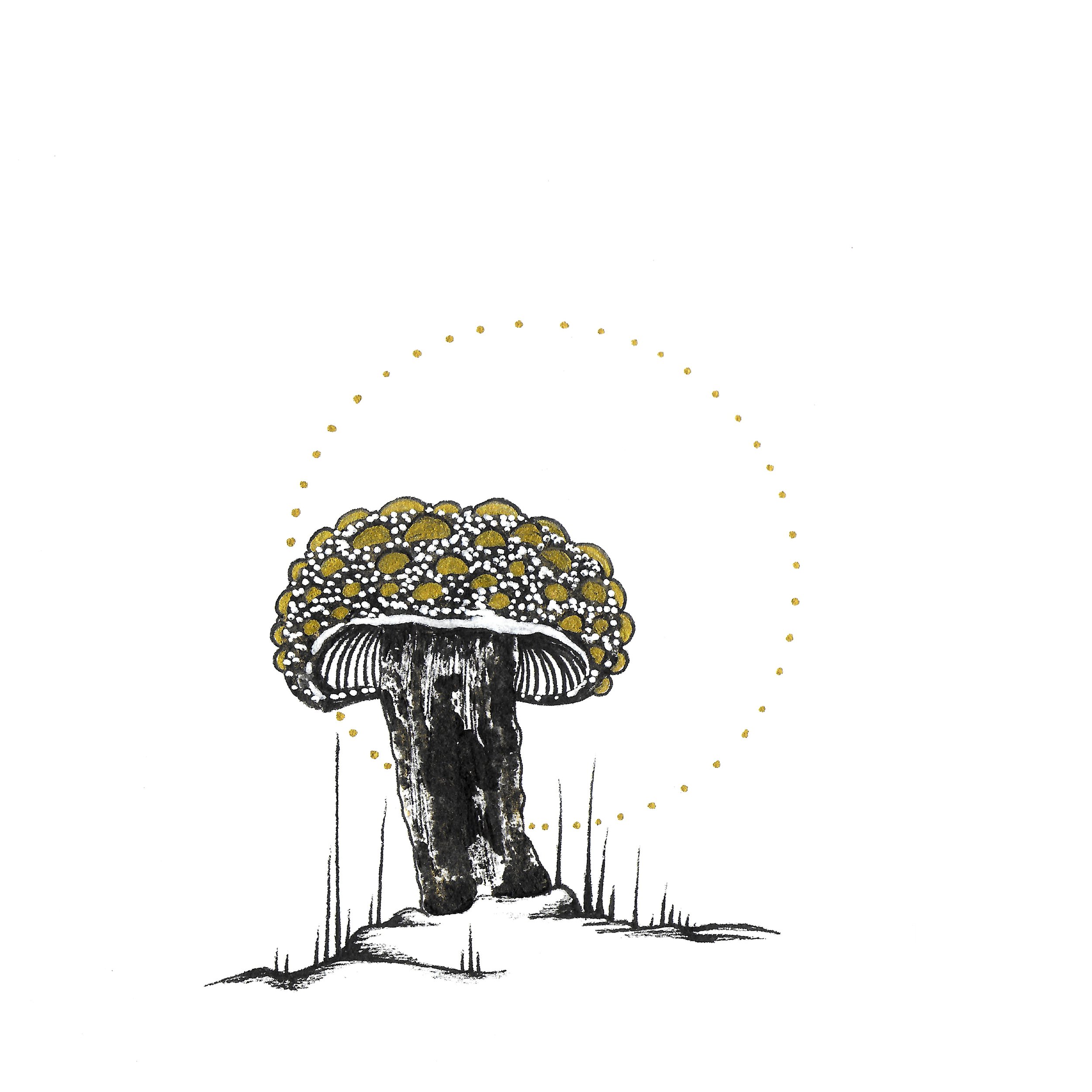 Mushroom_11.jpeg