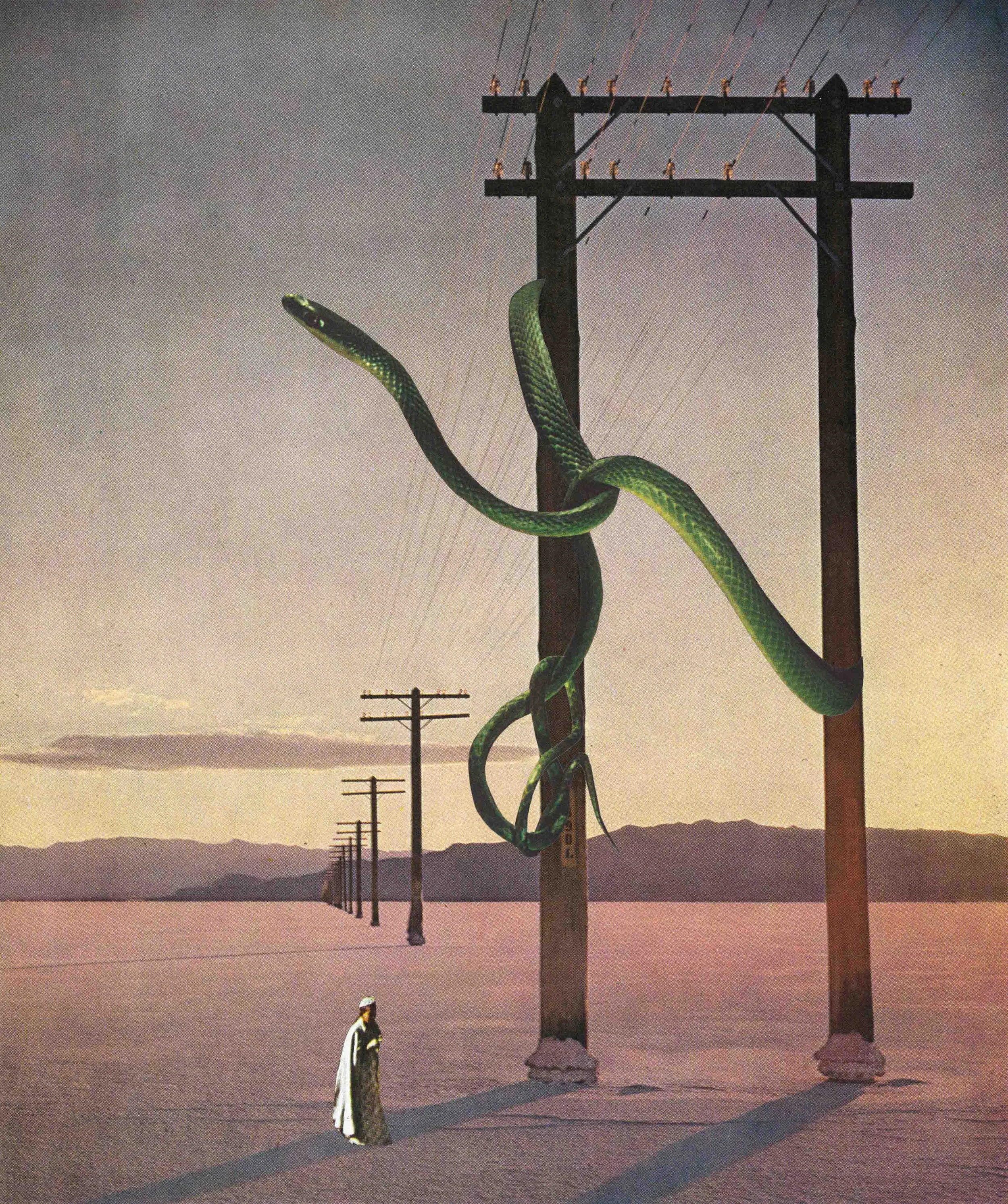Death on the Line (Collage work by Jesse Treece)