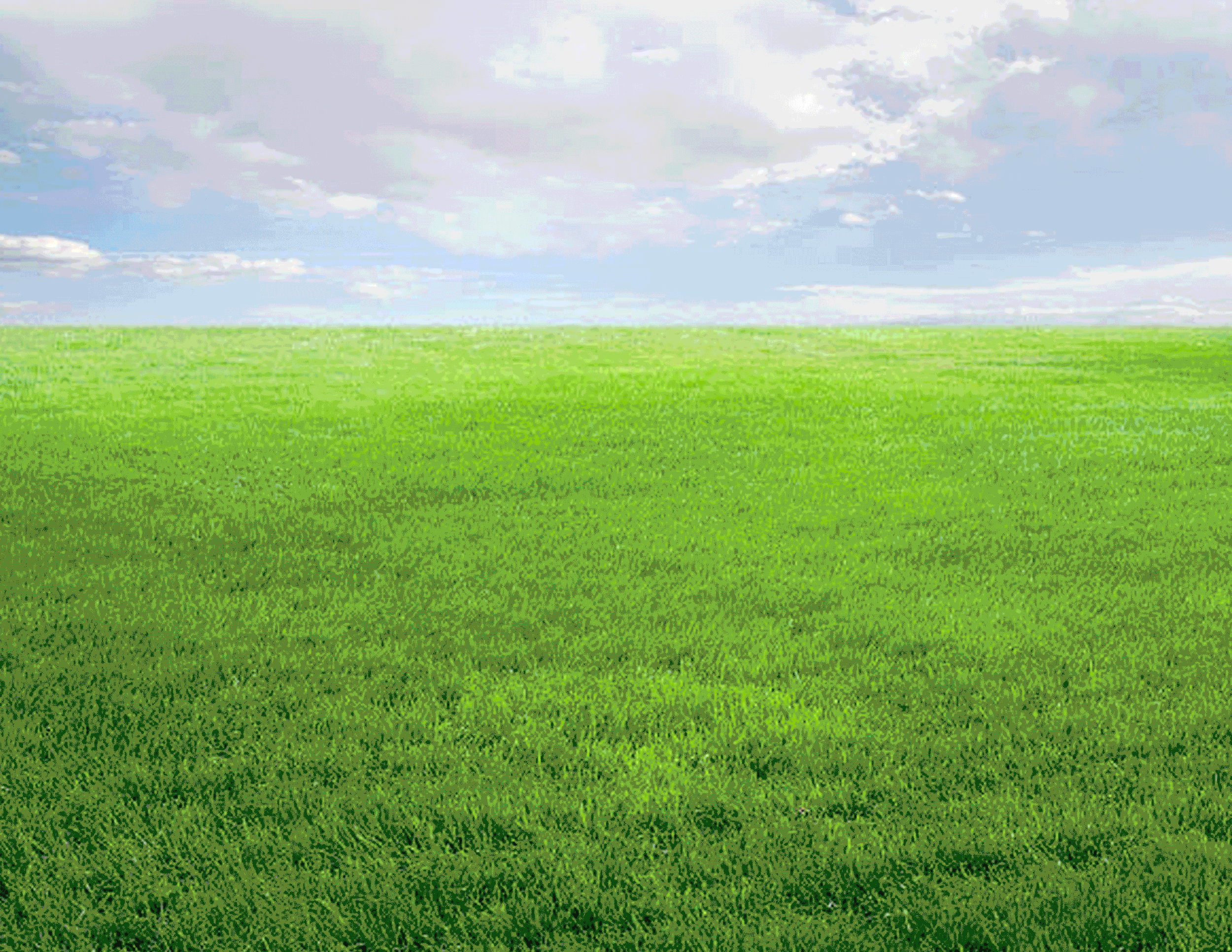 DRIVE-GREEN.gif