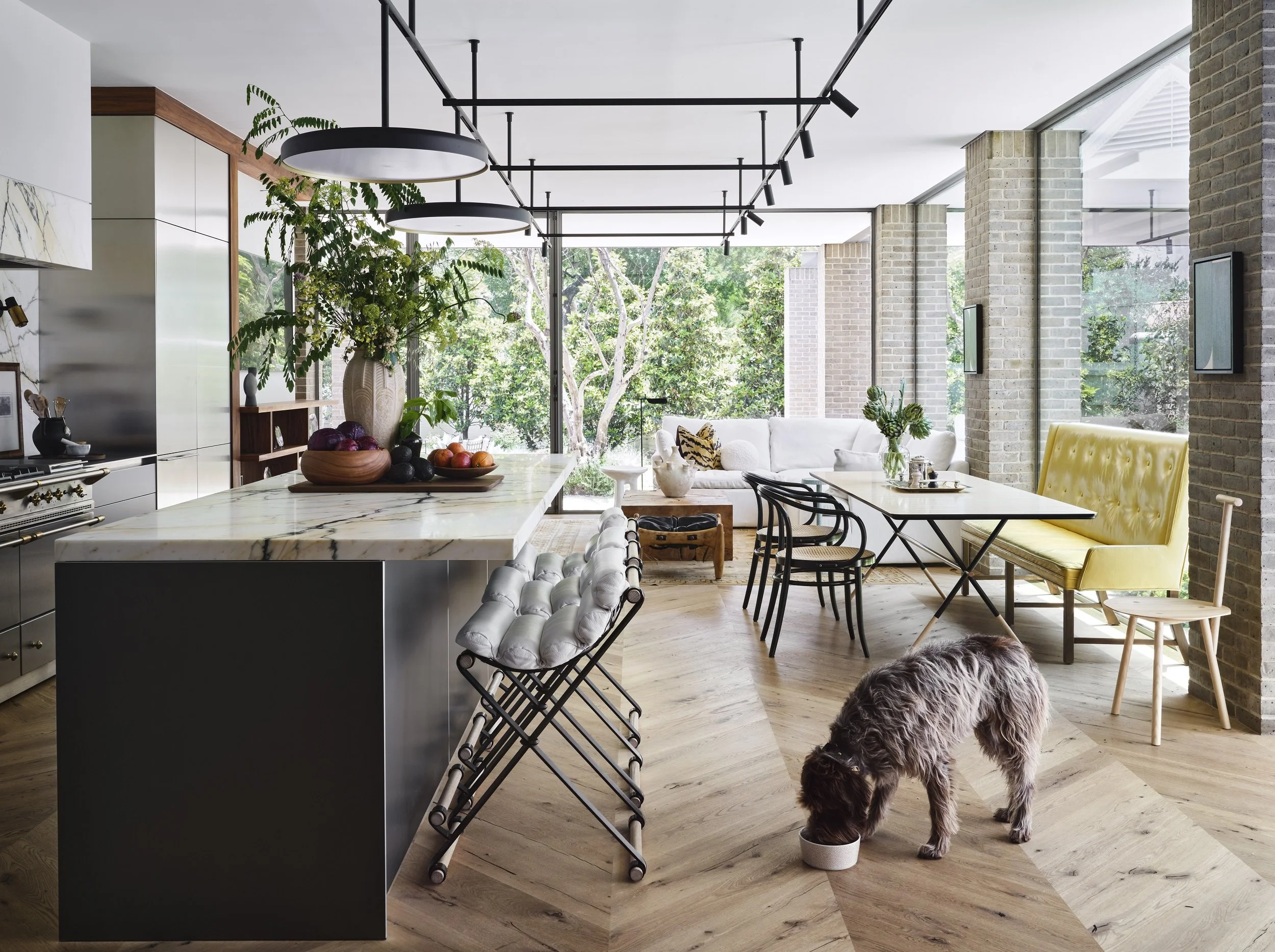Dog inside a bright, refined home interior