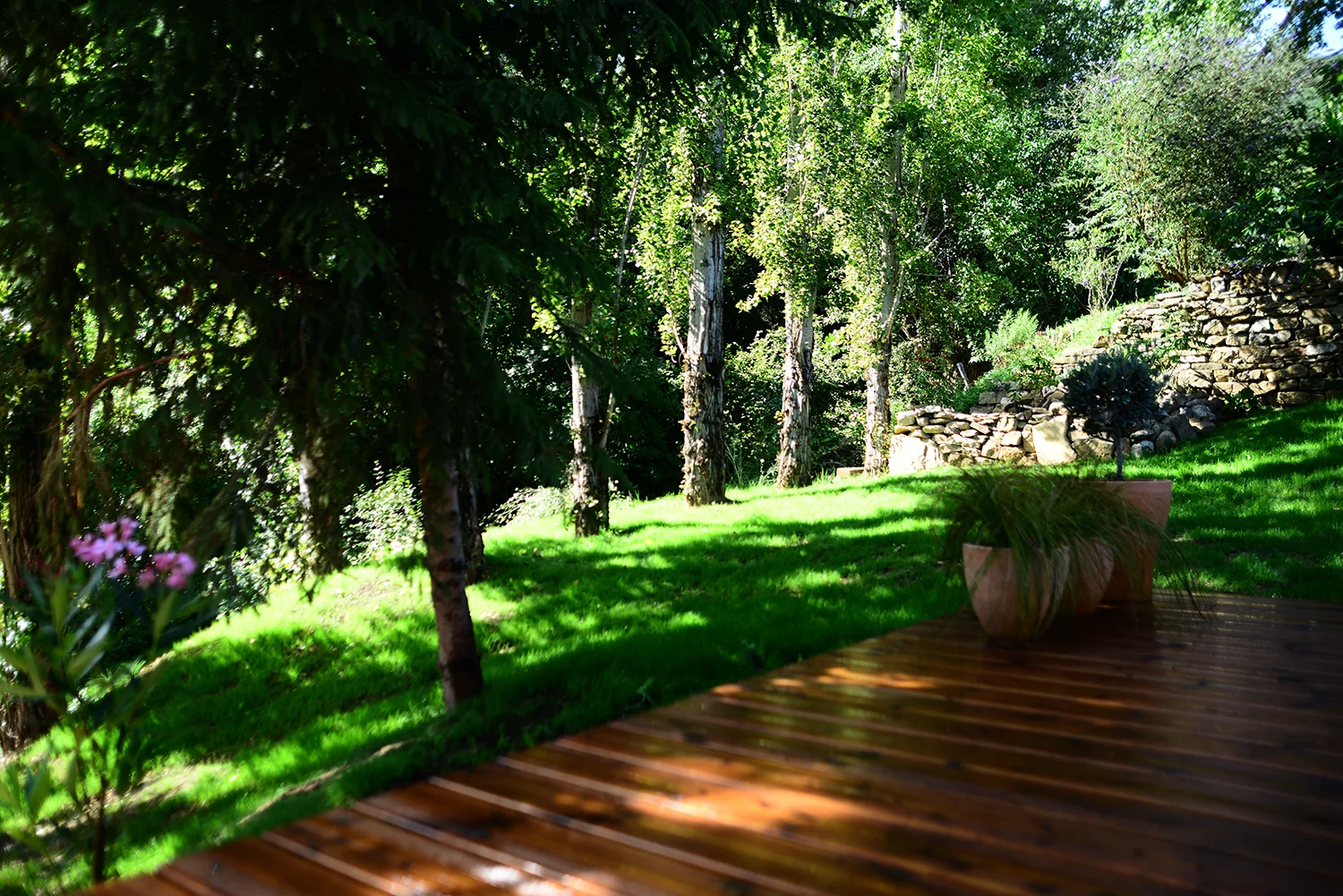 SJP_back-yard-deck04a_2015-08-16-10.49.34.jpg