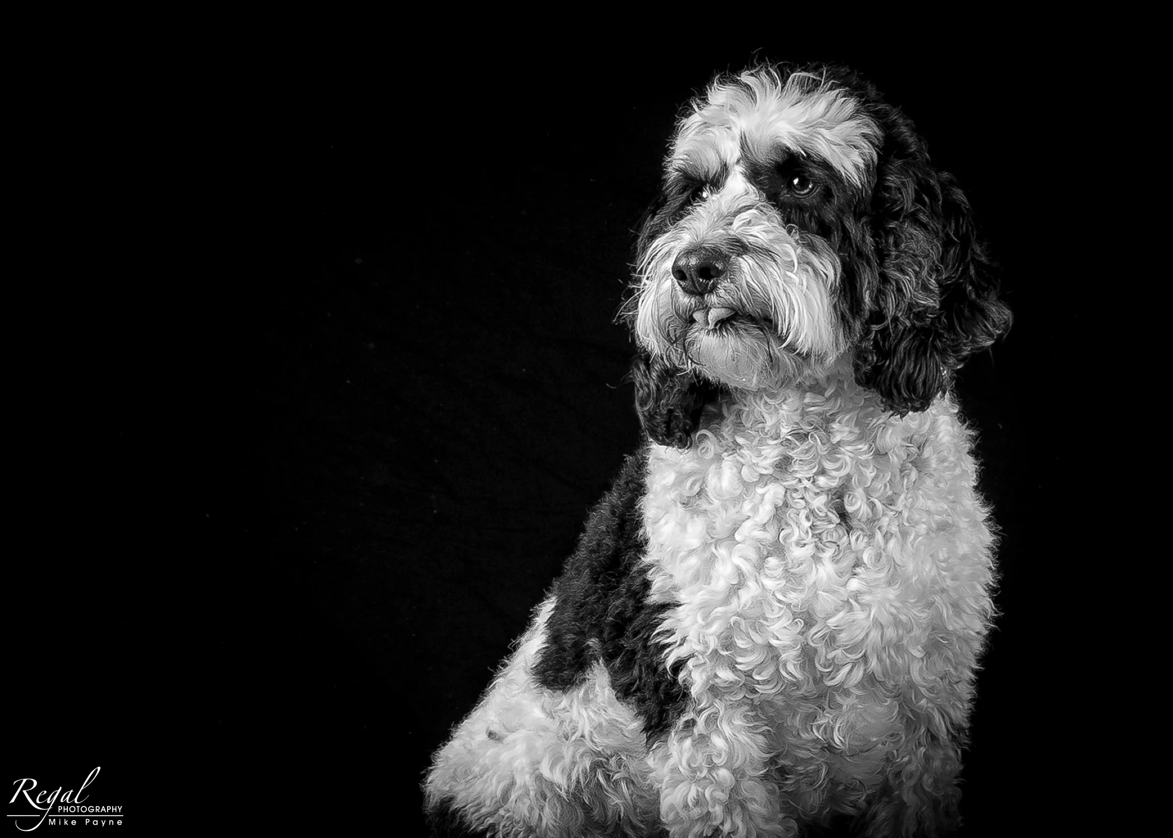 untitled-8-Edit-2.jpg