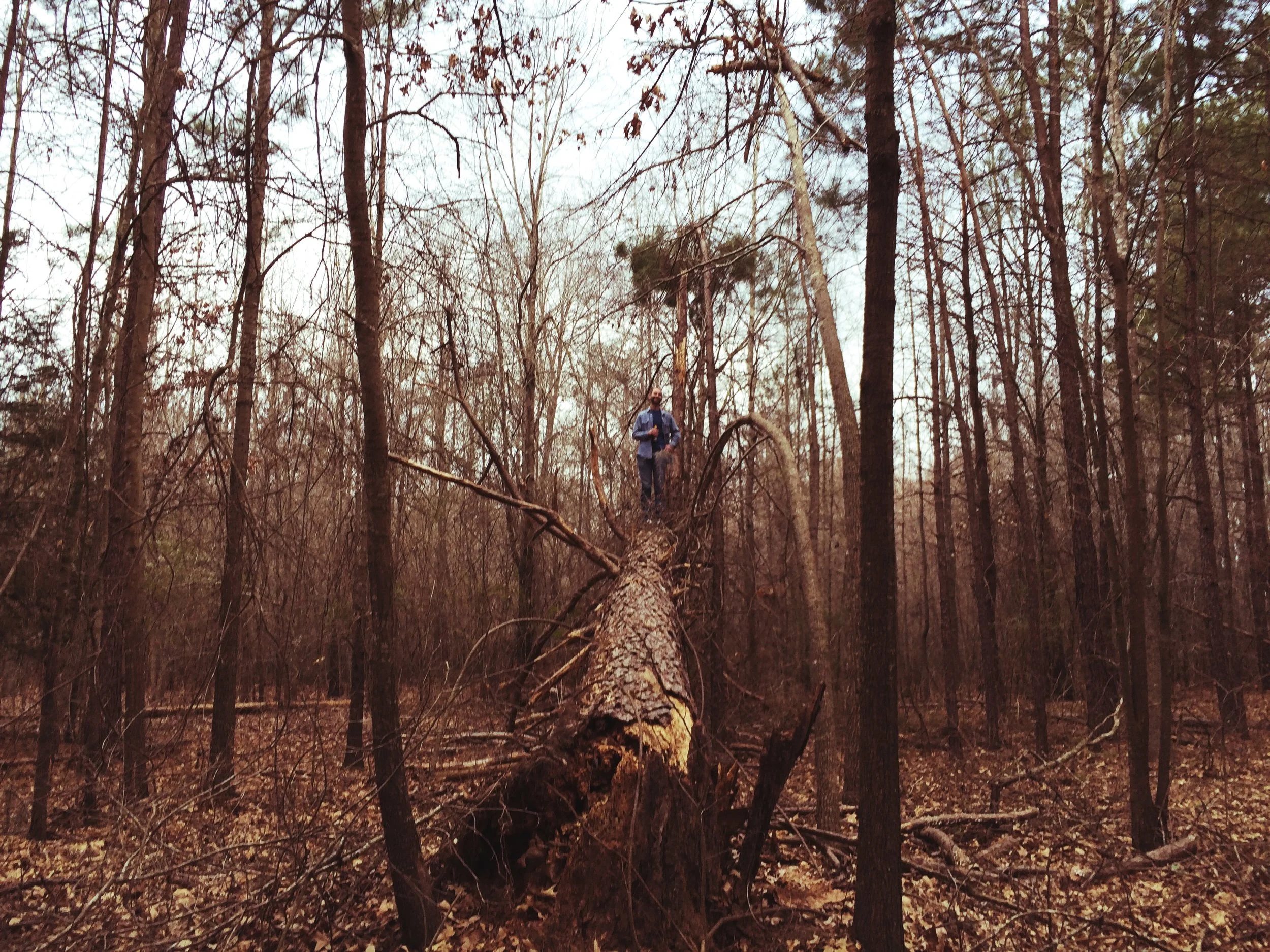  February 1, 2014 iPhone 5s Karnack, Texas Edited with VSCO 