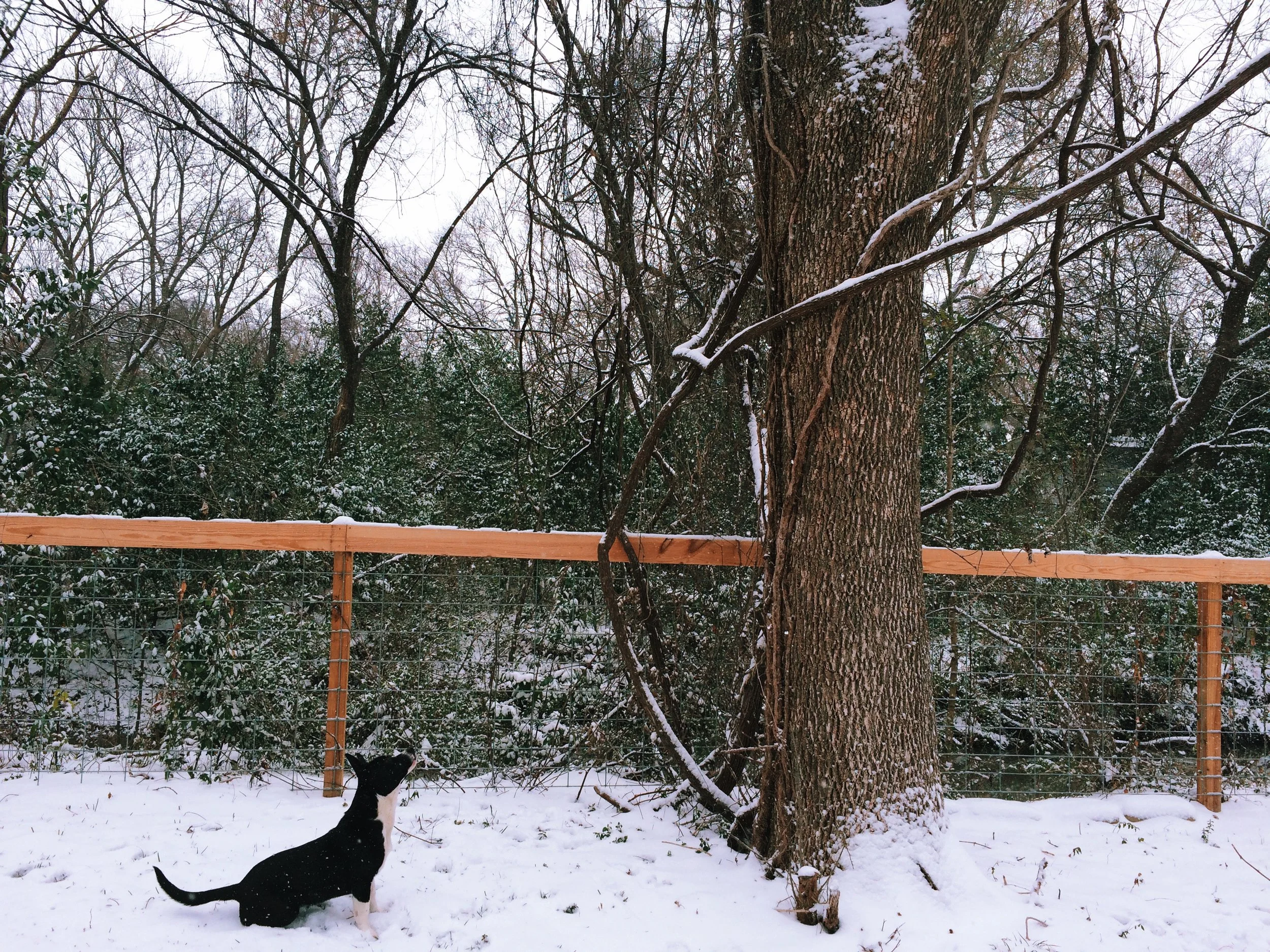  February 27, 2015 iPhone 5s Garland, Texas Edited with VSCO 