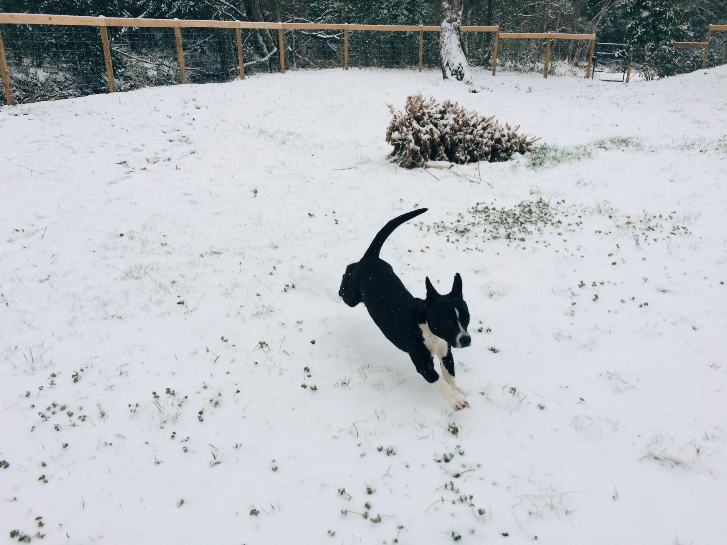  February 27, 2015 iPhone 5s Garland, Texas Edited with VSCO 