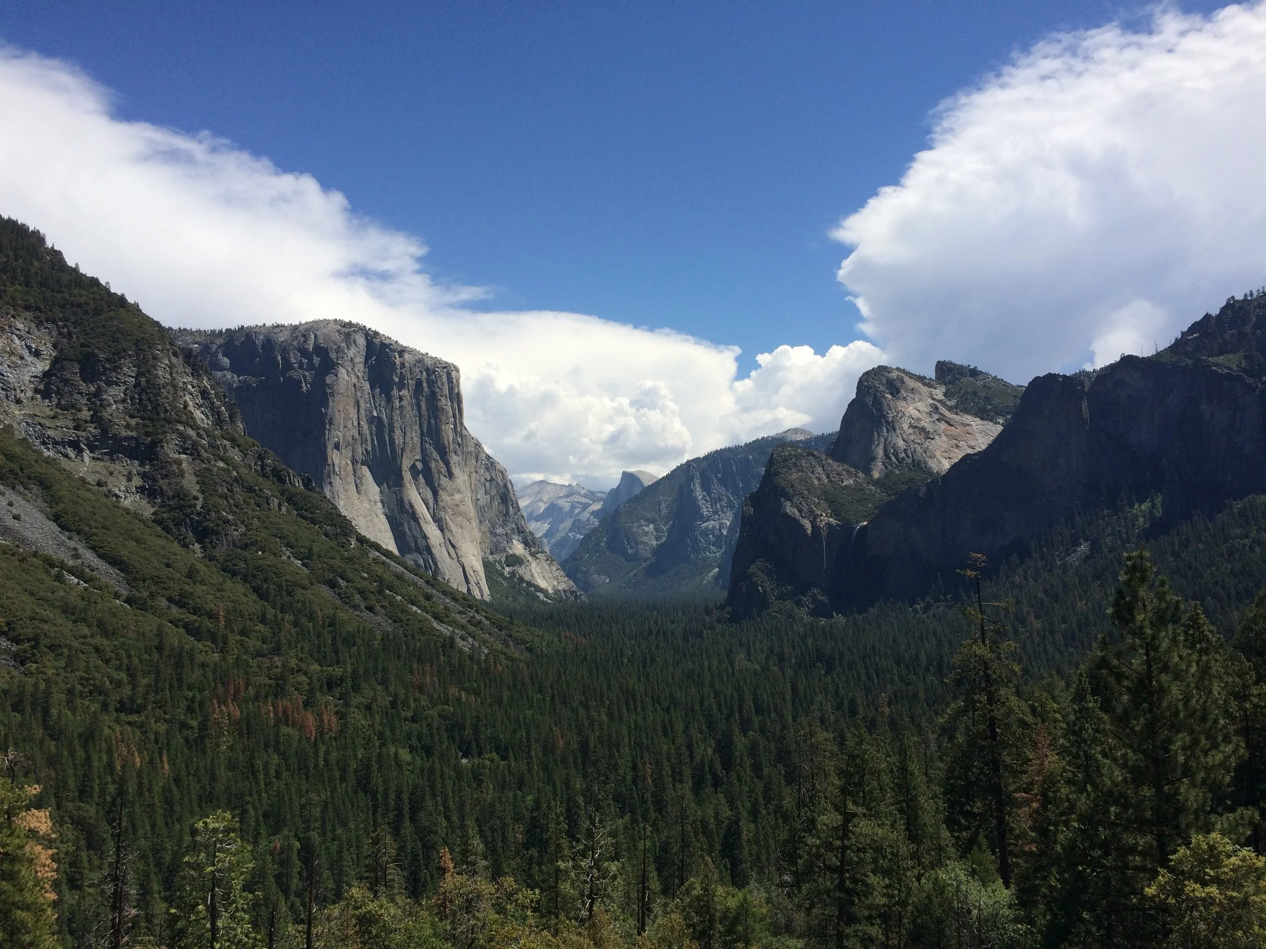  May 4, 2015 iPhone 5s Yosemite National Park, California 