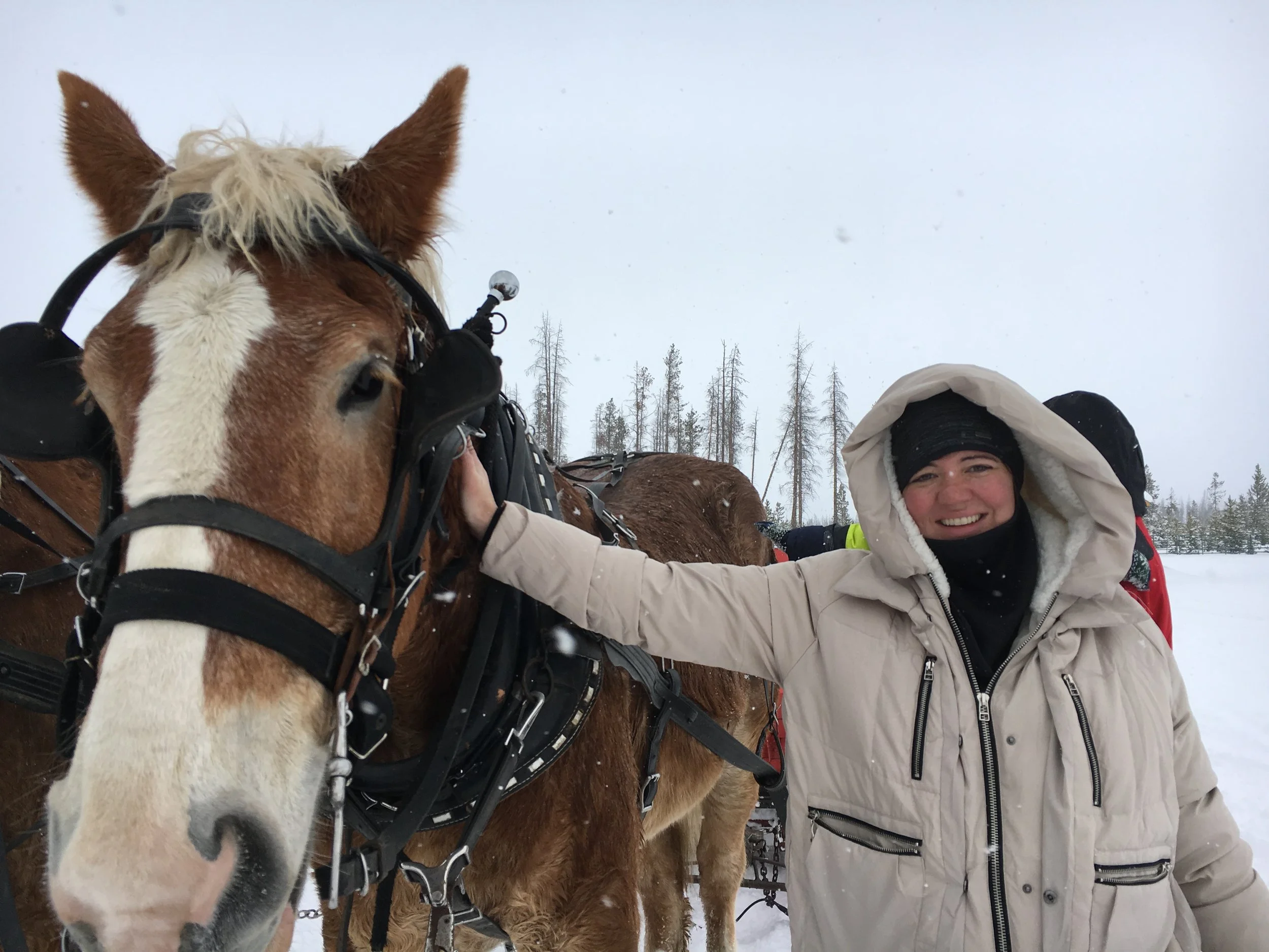  December 11, 2016 iPhone 6s Tabernash, Colorado 