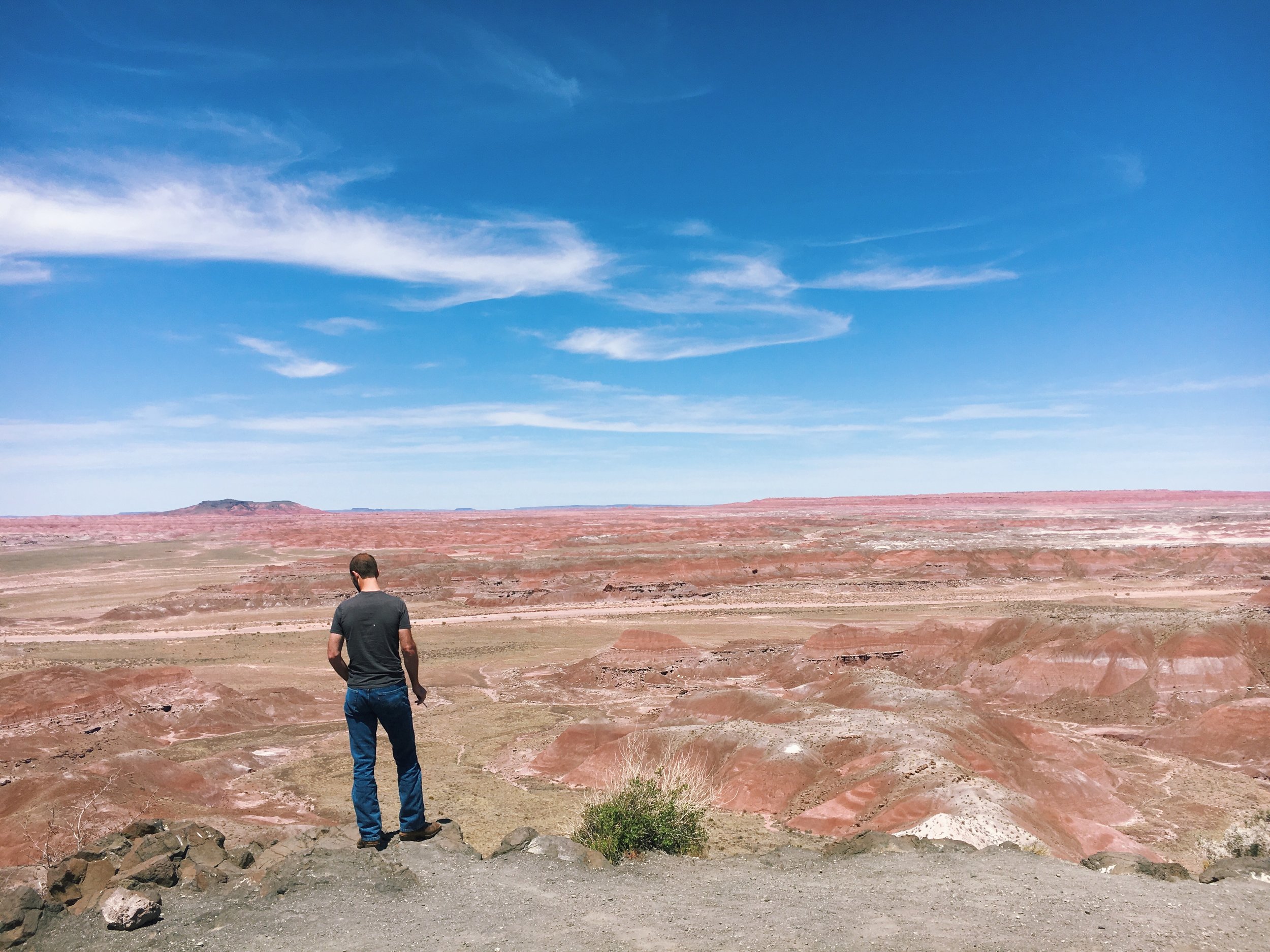  April 22, 2017 iPhone 6s Petrified Forest National Park, Arizona Edited with VSCO 