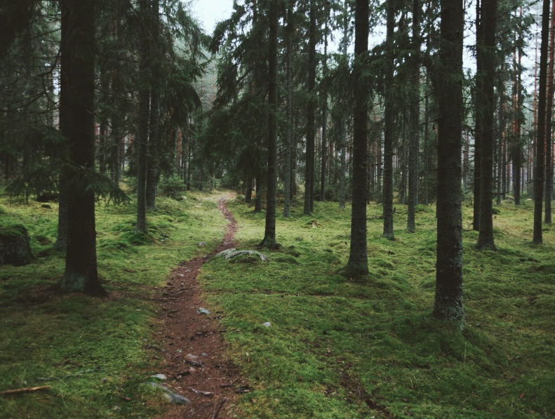 Screen Shot 2015-01-26 at 3.22.50 PM.png