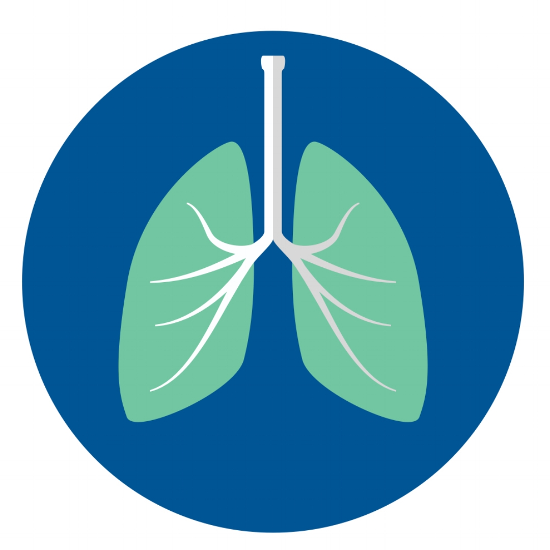 Lungs.jpg