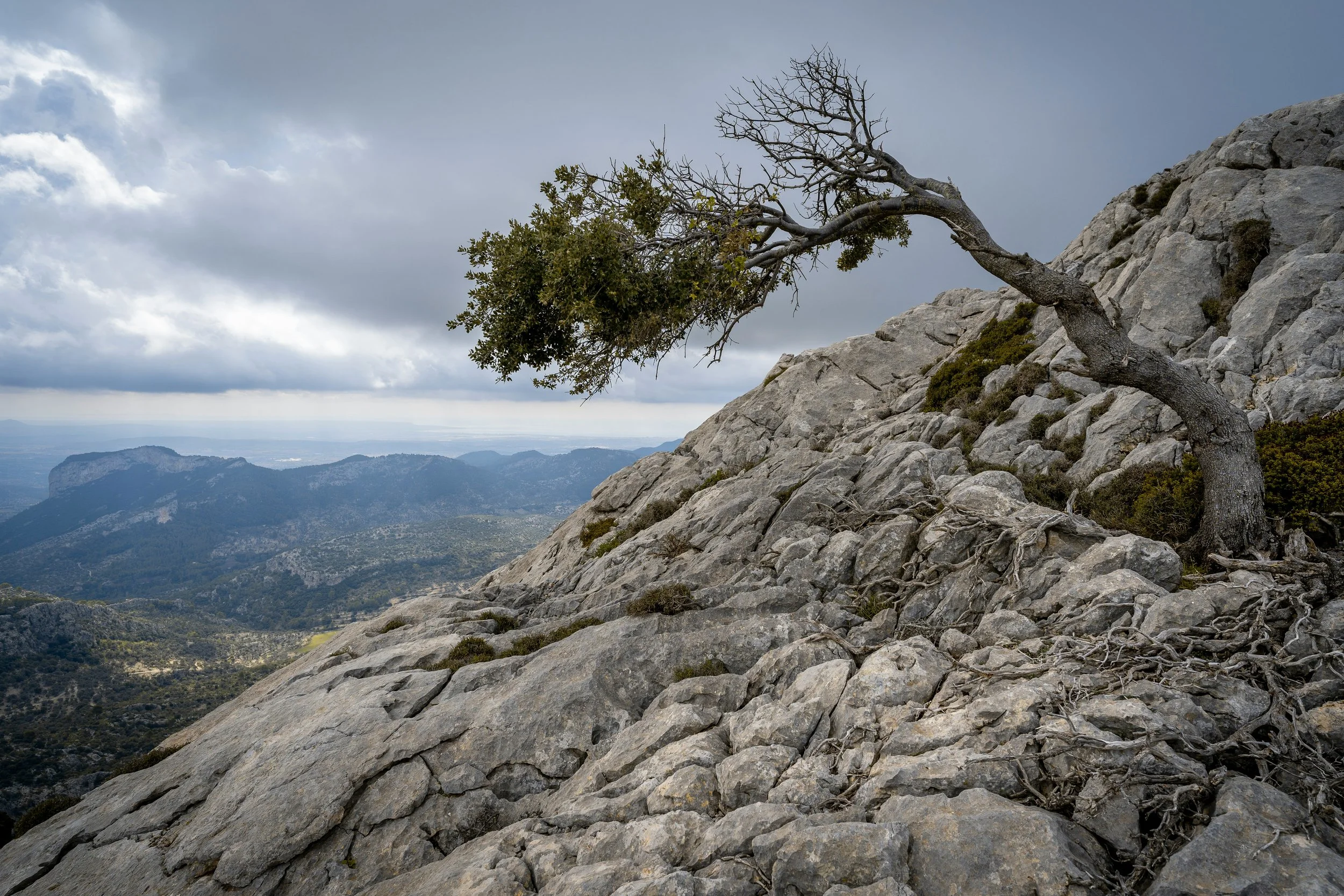 Resilience in Action: A New Year's Resolution for the Built Environment