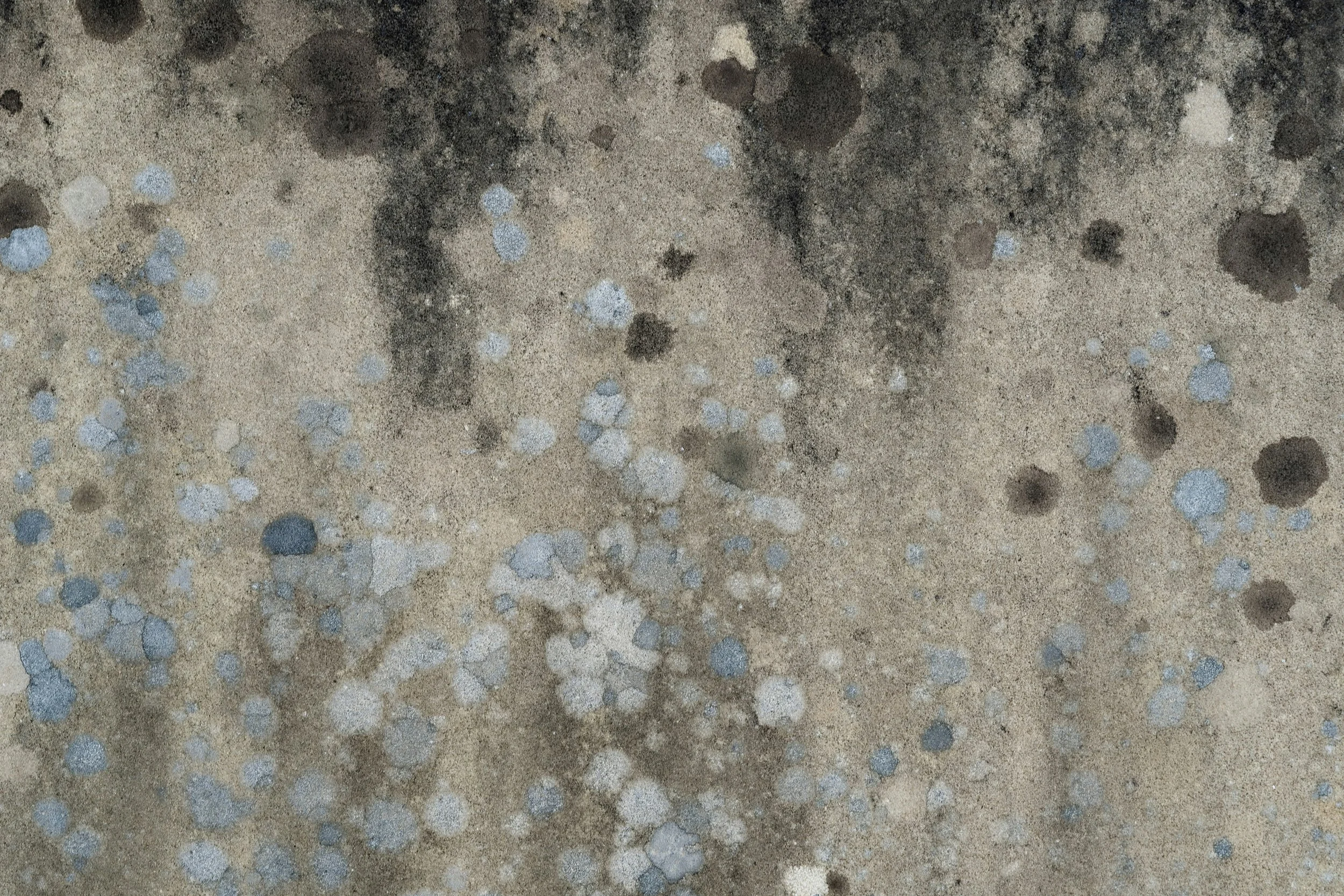 The Damp Deception: How a Well-Intentioned Code Change is Fostering Mold in New Homes