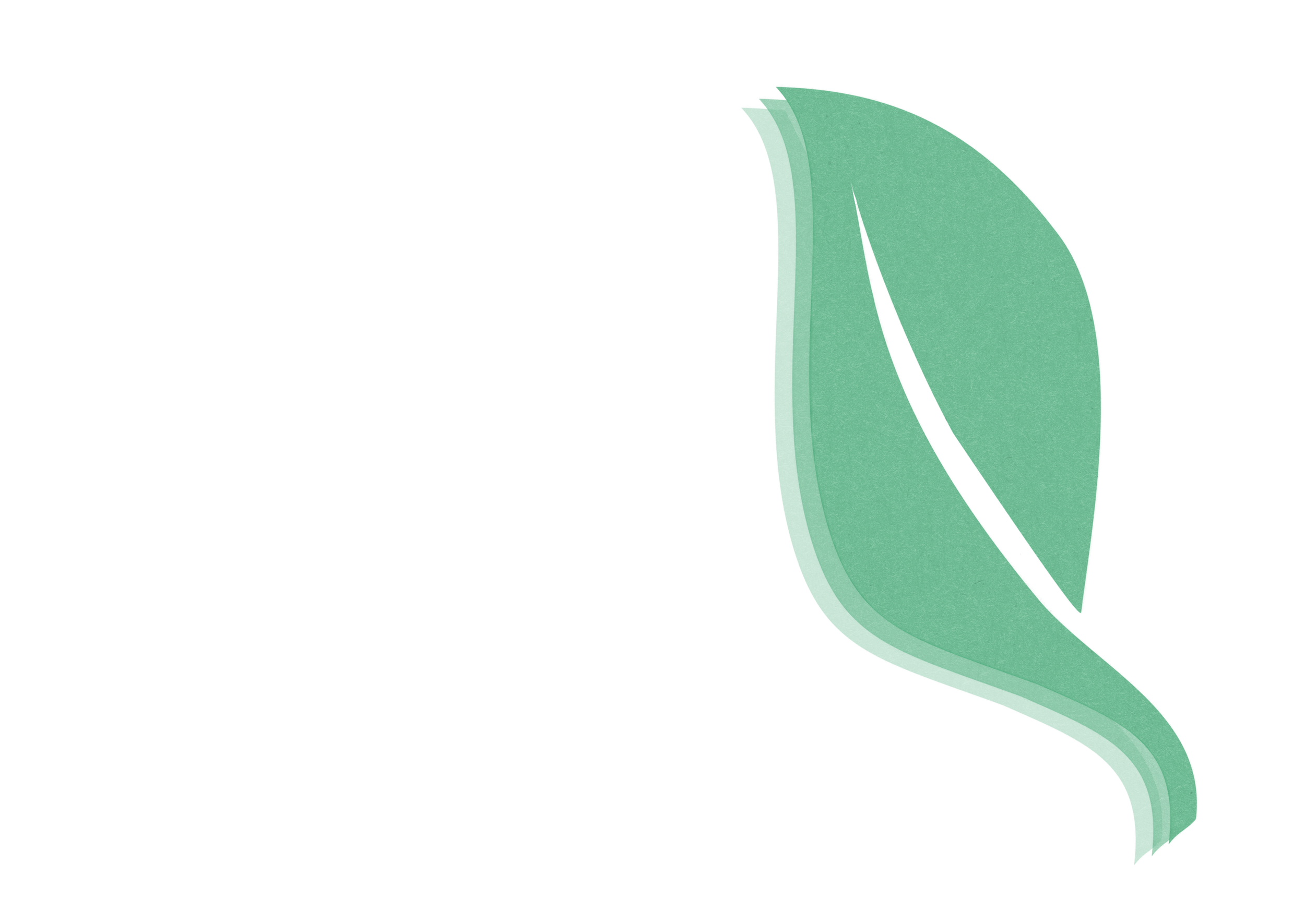 Positive Energy Leaf Echo Brand Mark