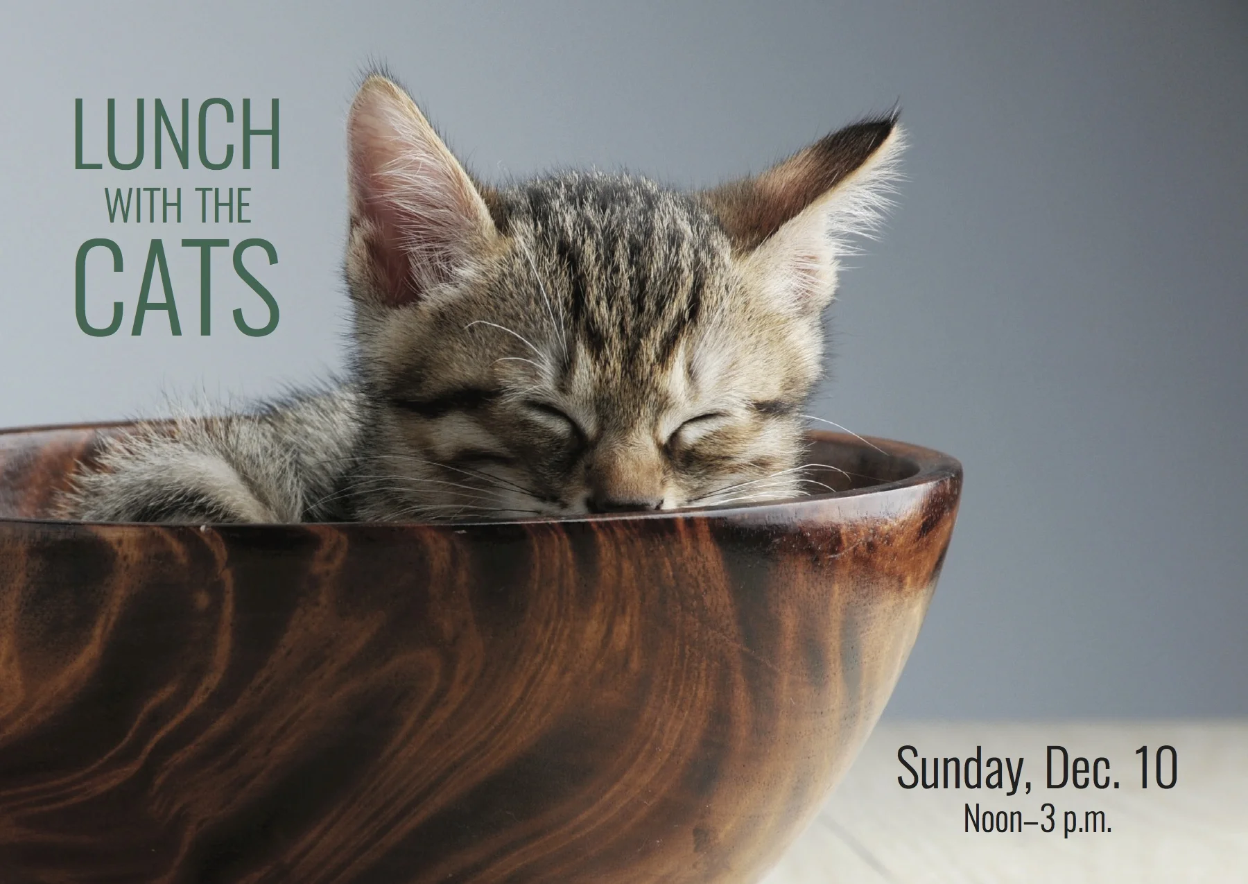 PurrfectPaws_Postcard.jpg