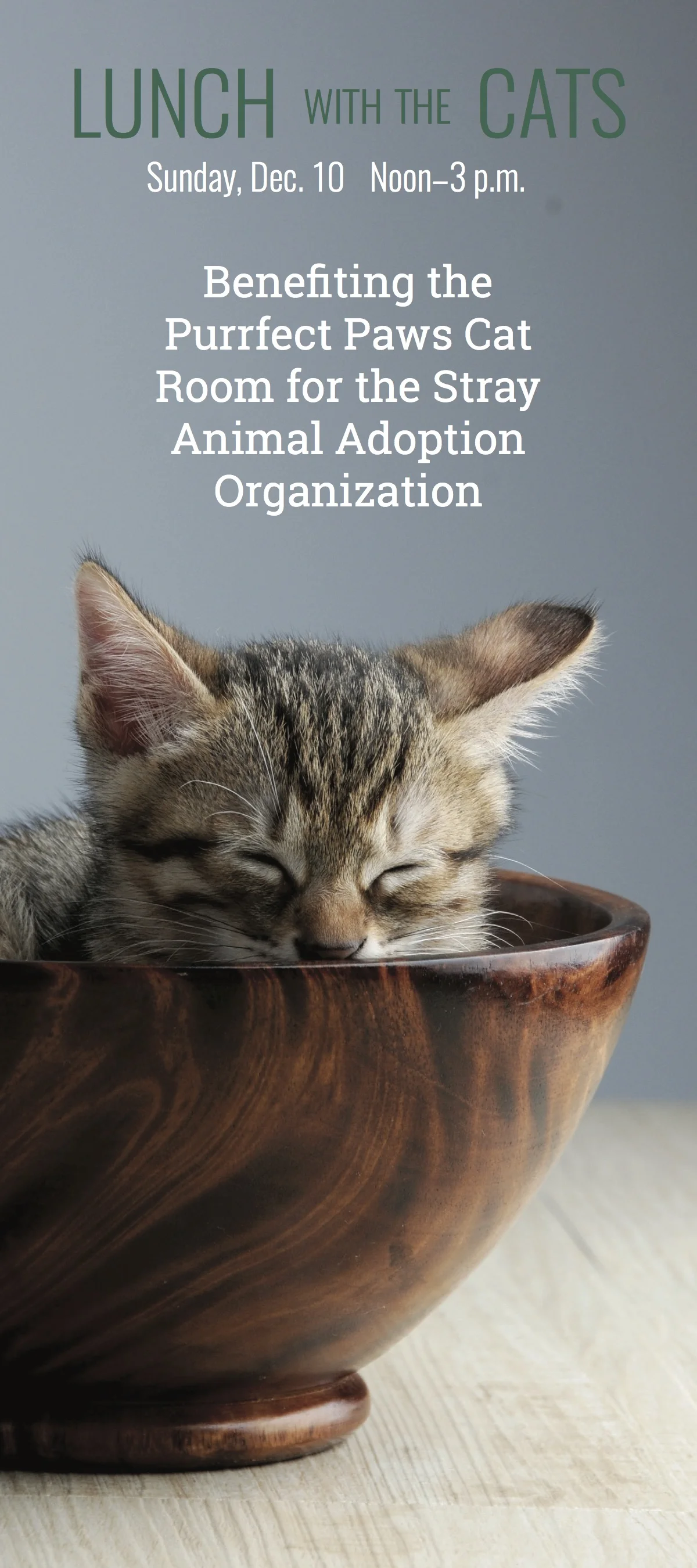 PurrfectPaws_RackCard.jpg
