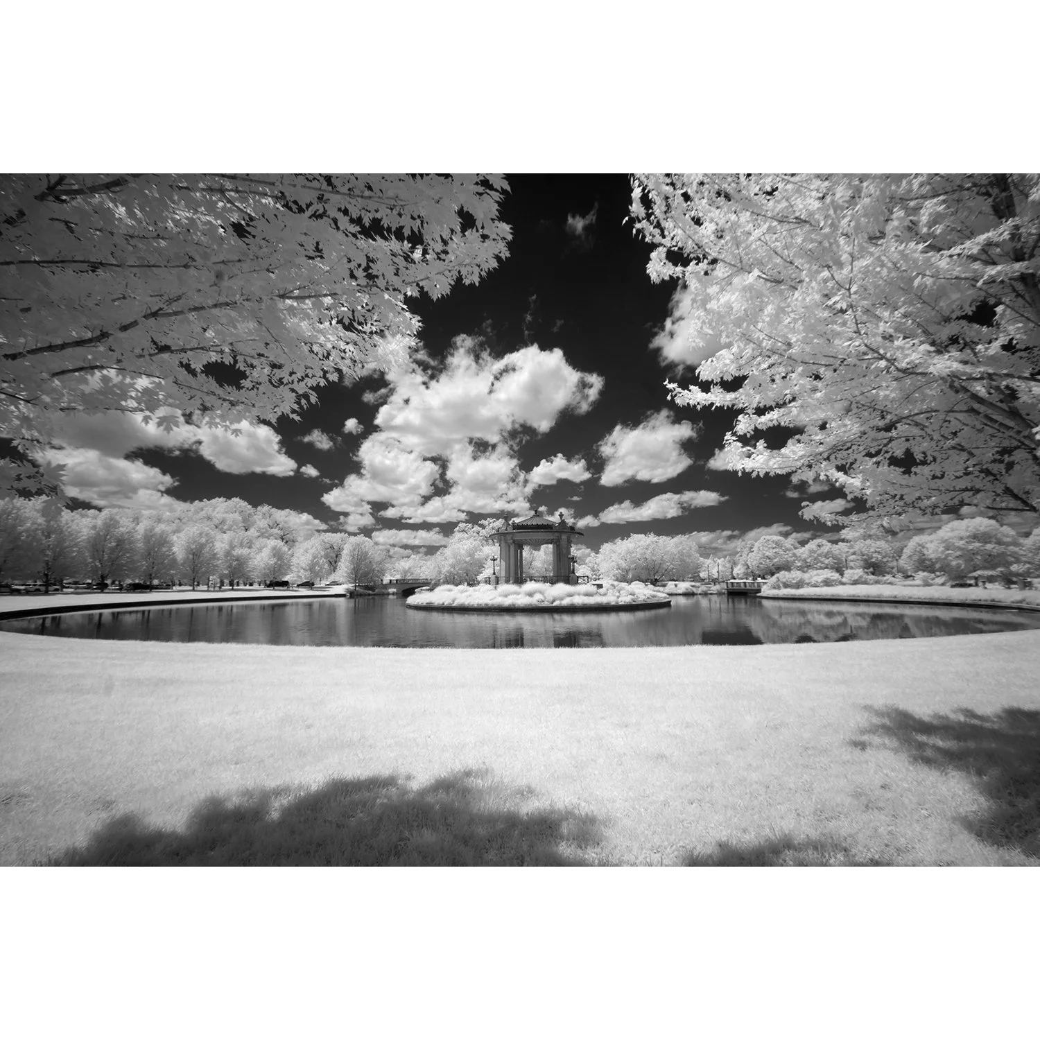 A Castle in the sky web .jpg