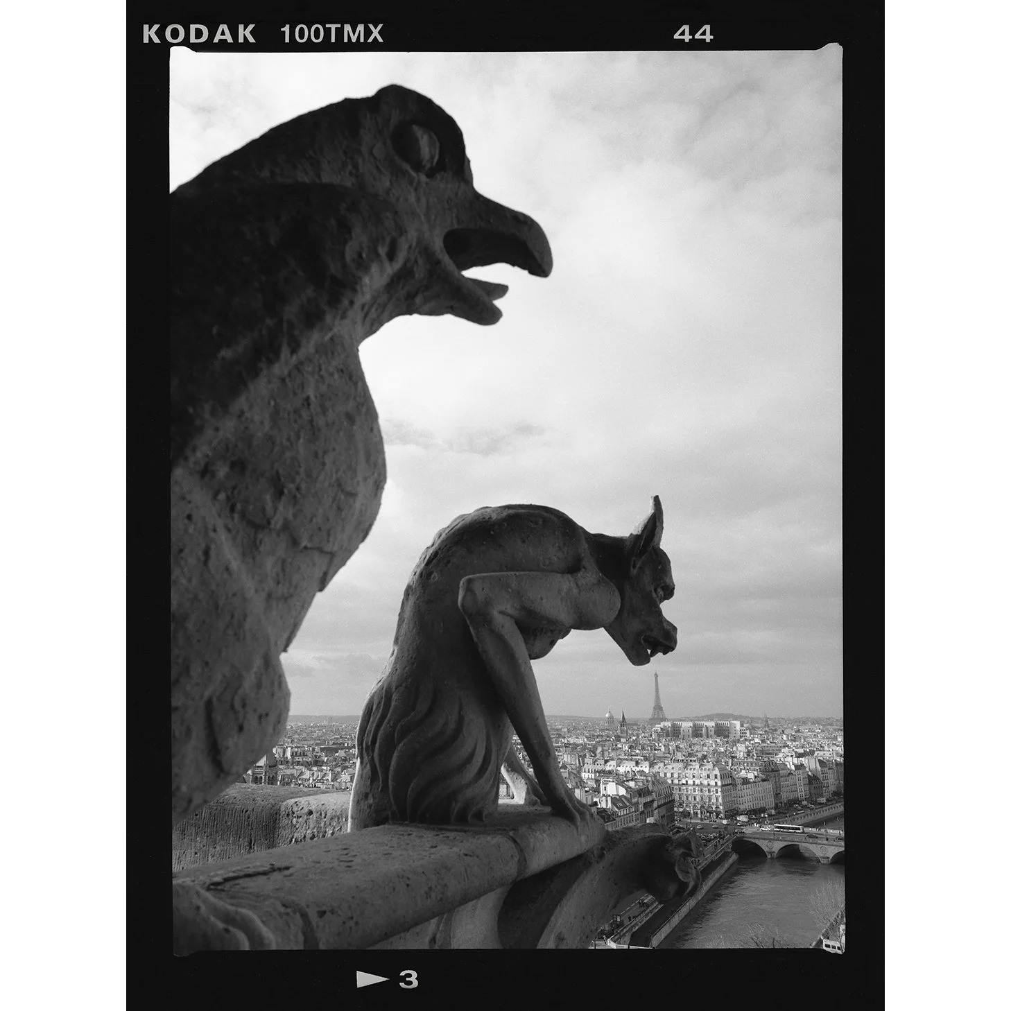 Lunch in Paris web.jpg