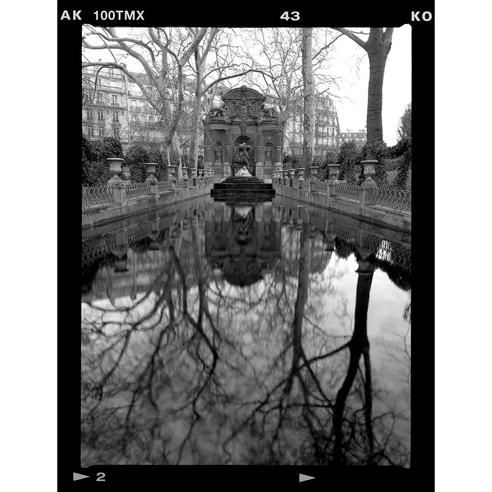 Fountain de Medicis web.jpg