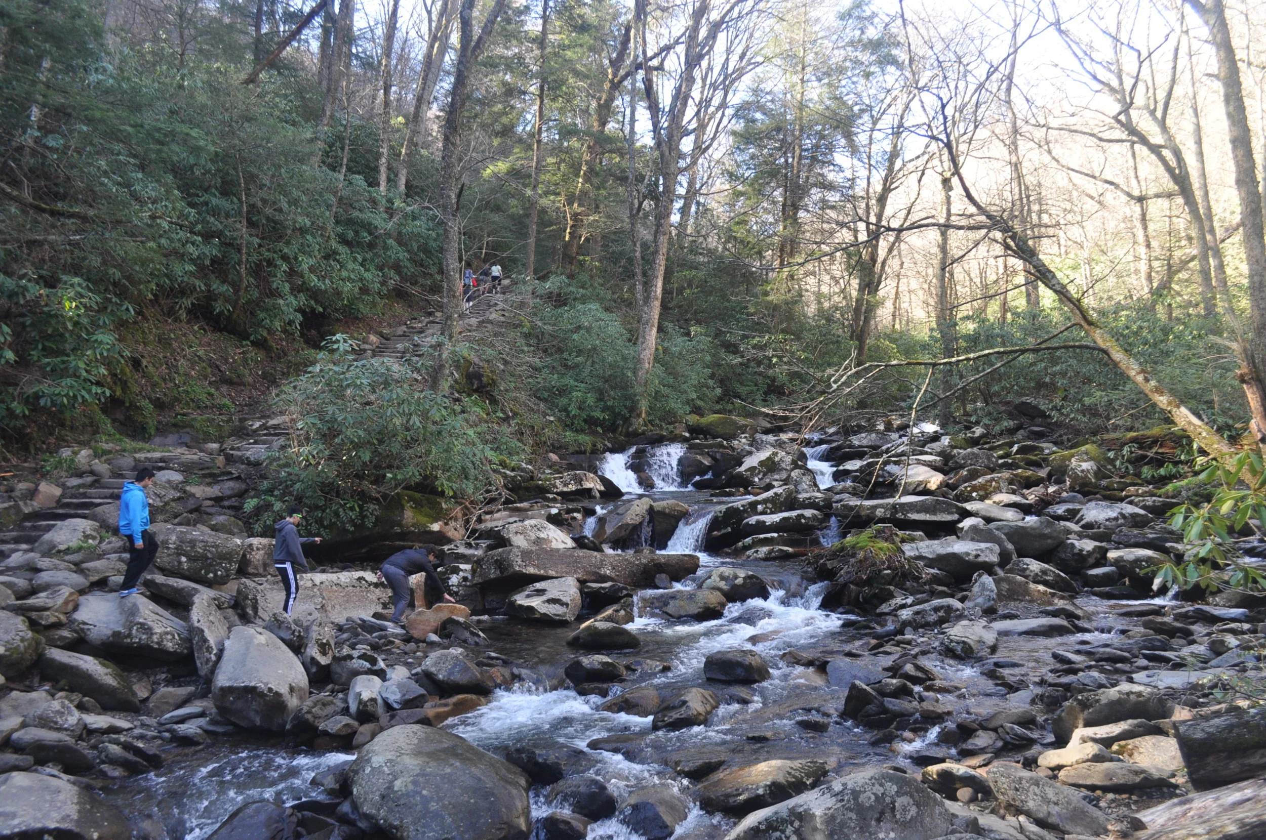Into the Wilderness