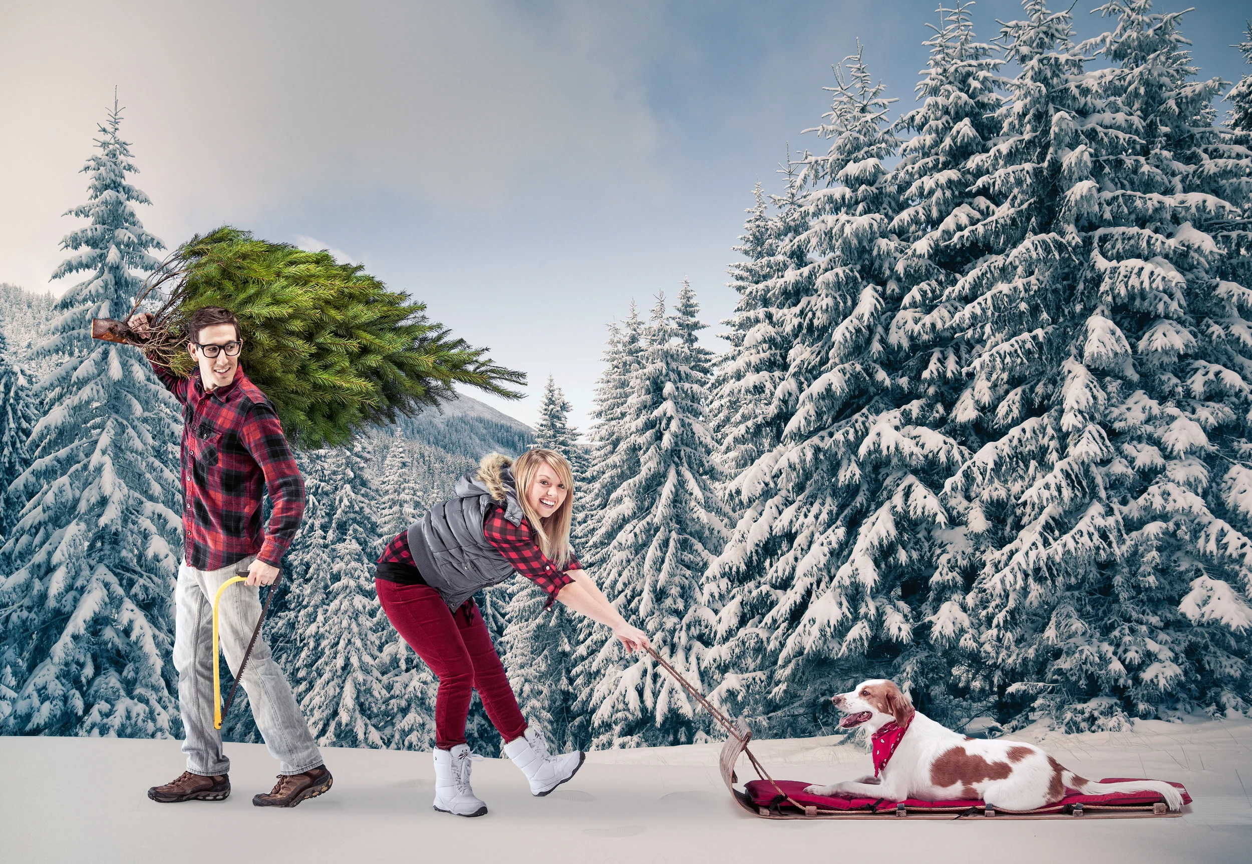 battoclette-christmas-card-2012.jpg