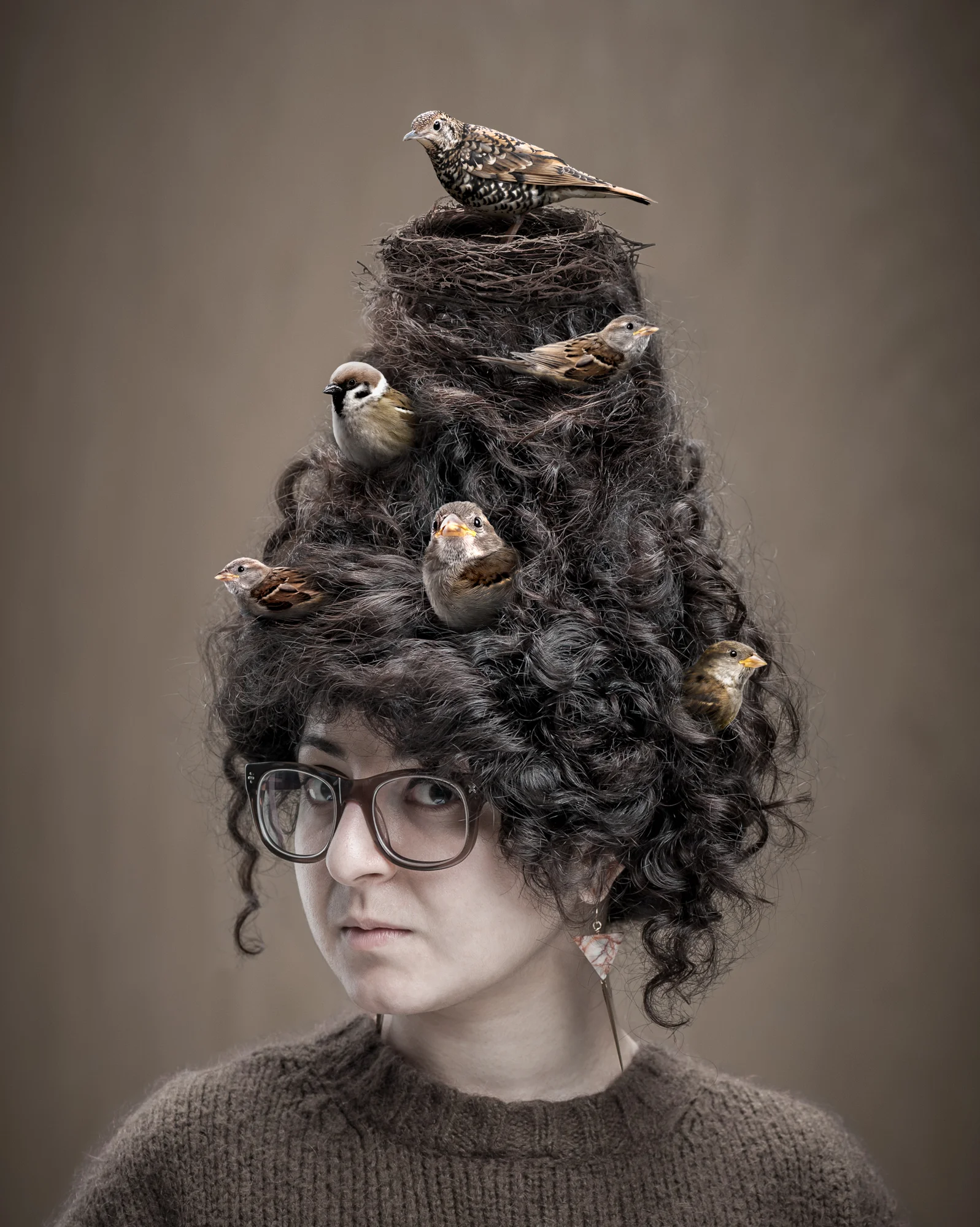 Bird Project-008-Edit-6-2.jpg