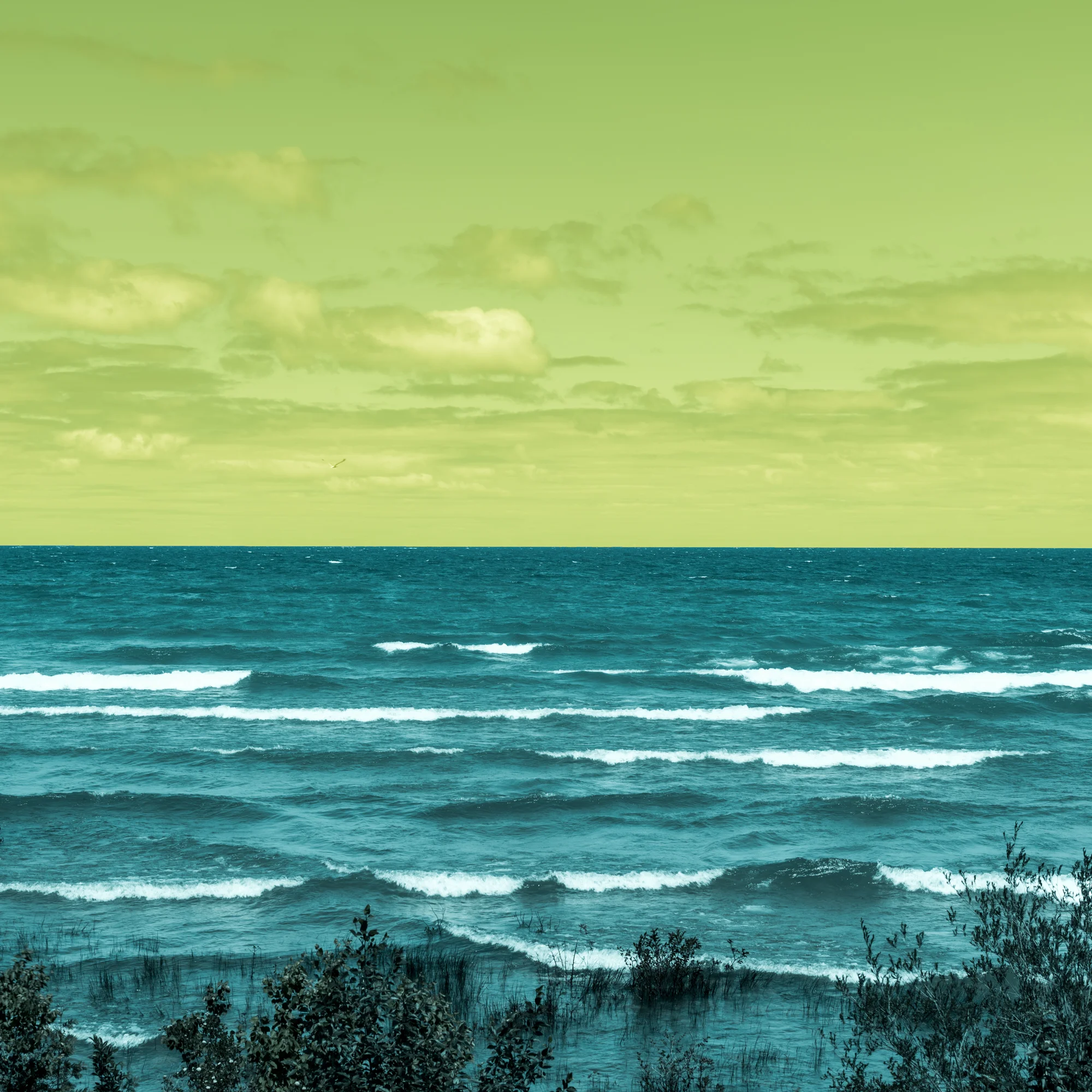 _DSC7816-Edit.jpg