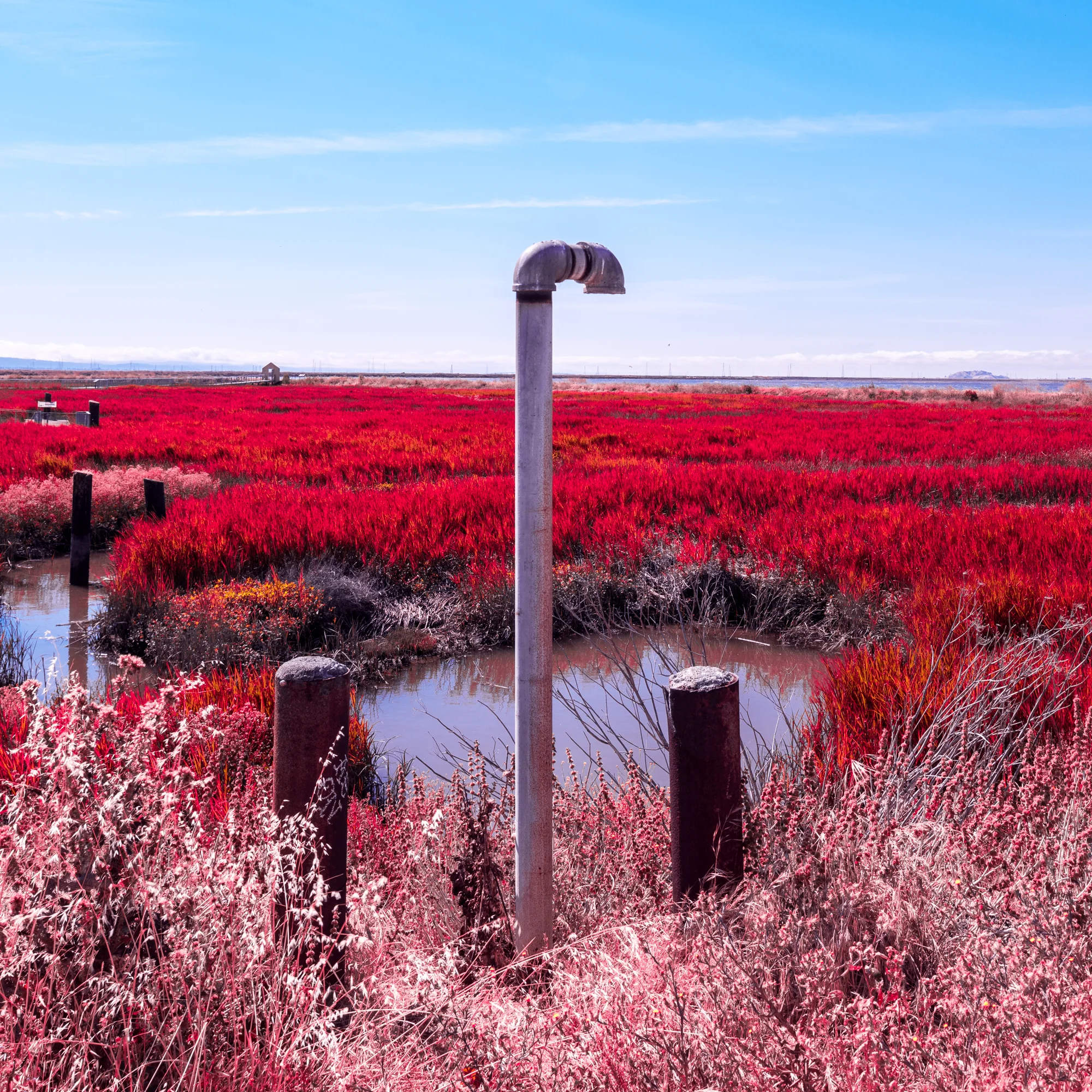 _DSC5095.jpg