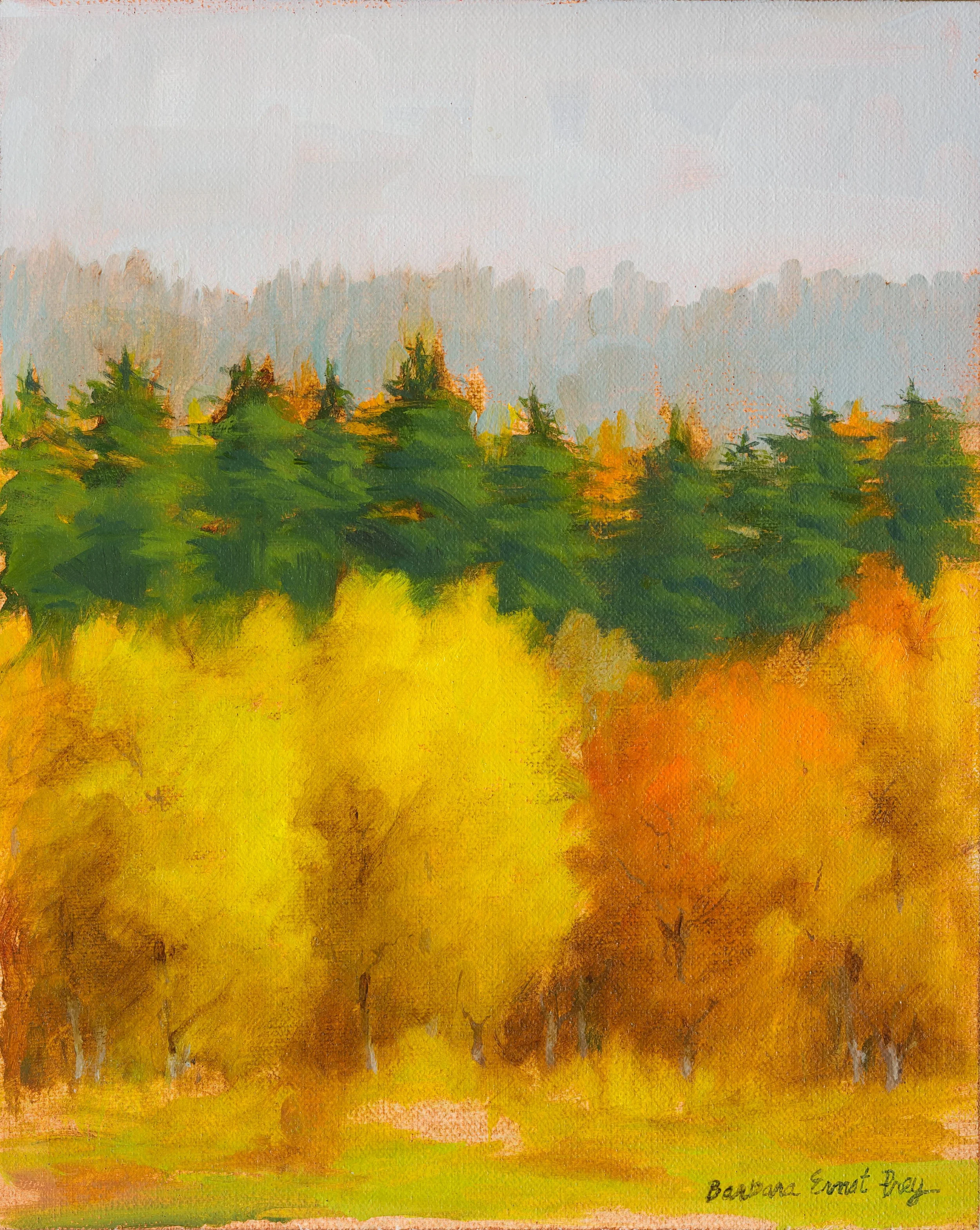 Snow Storm in Fall