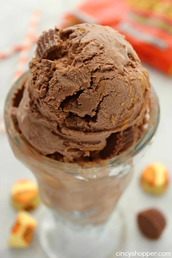 No-Churn-Reeses-Peanut-Butter-Ice-Cream-3.jpg