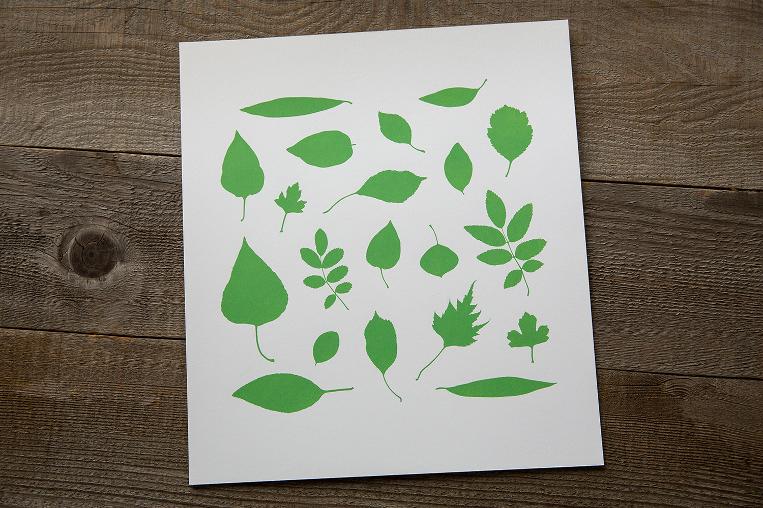print | leaves