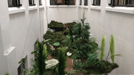 Trish Andersen Scad Hong Kong Island edit.gif
