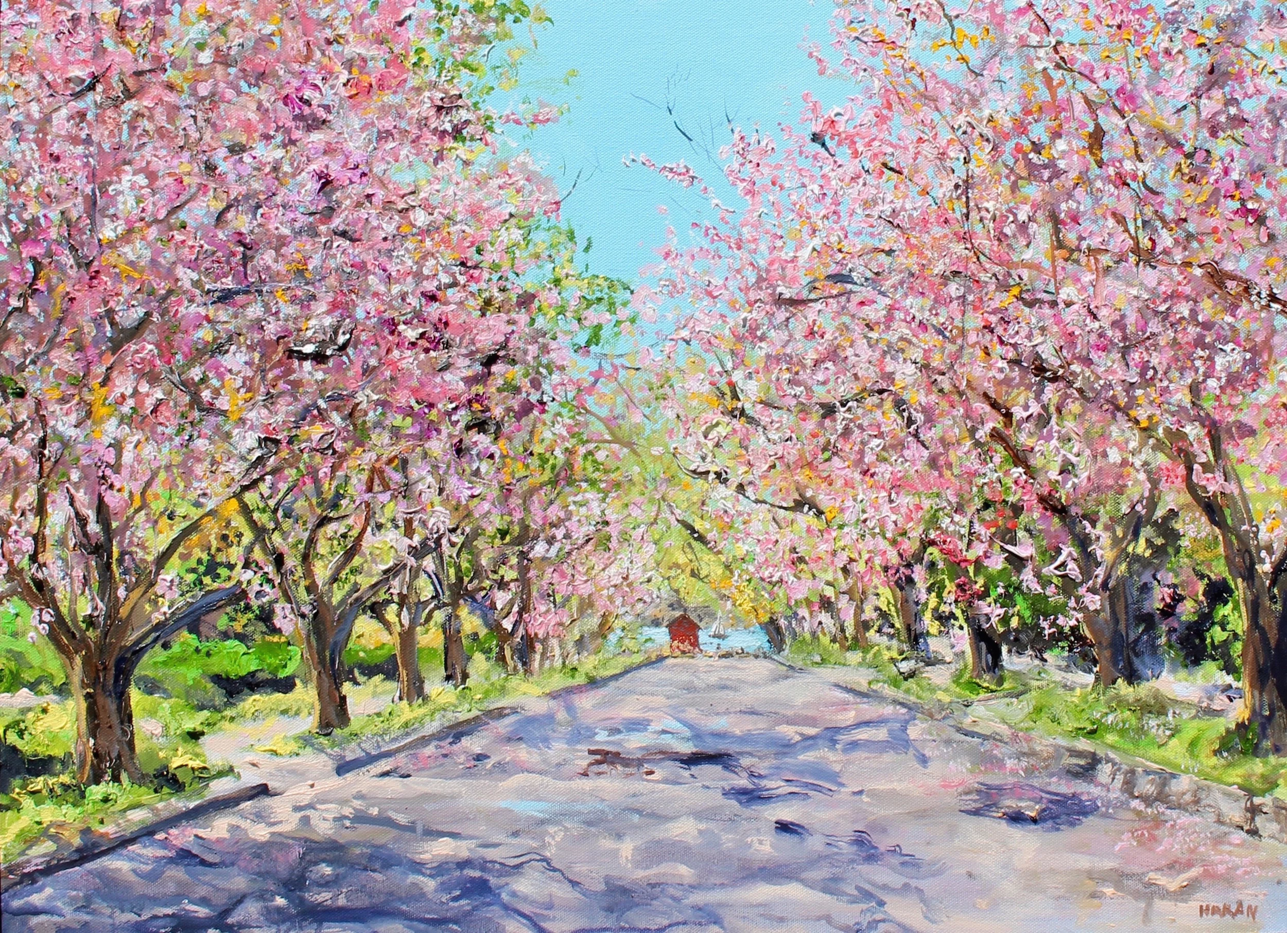 Cherry Trees, Fifth Street Greenport