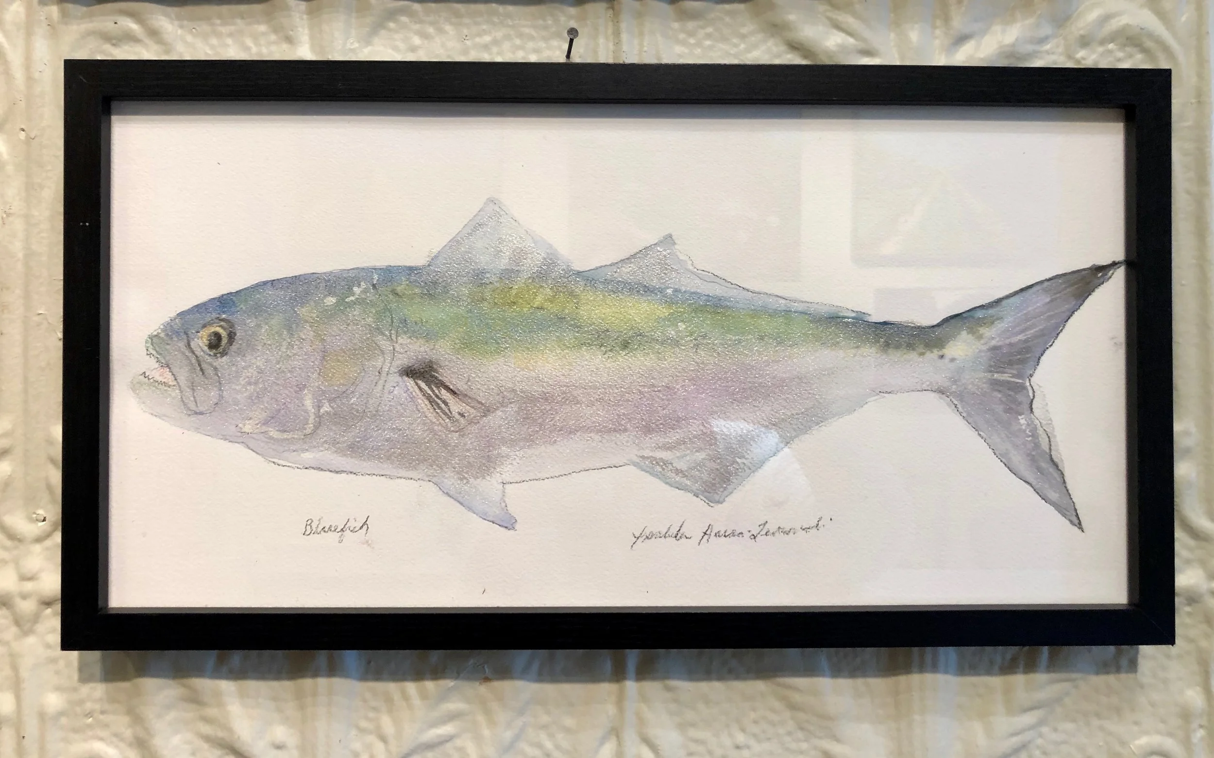 Bluefish