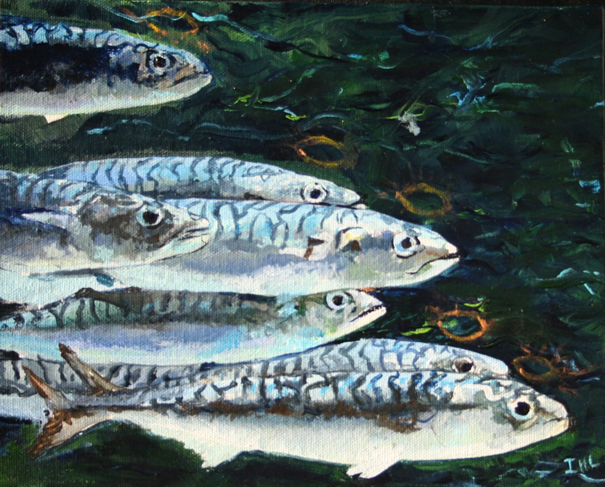 Holy Mackerel