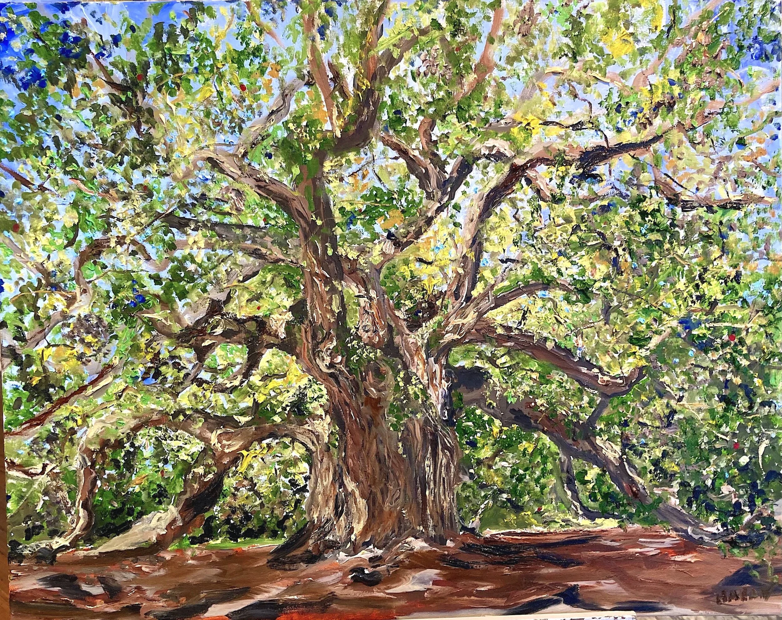 Angel Oak 
