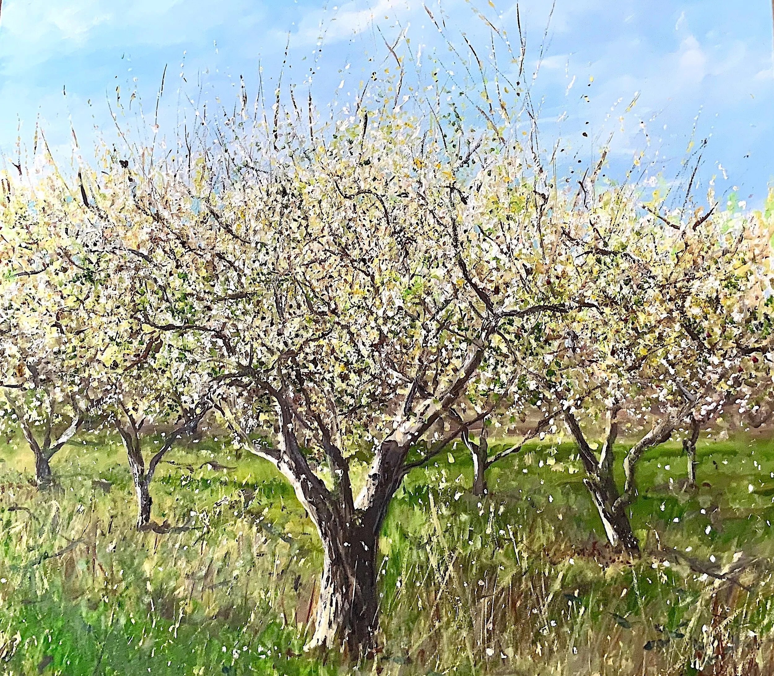 White Apple Orchard