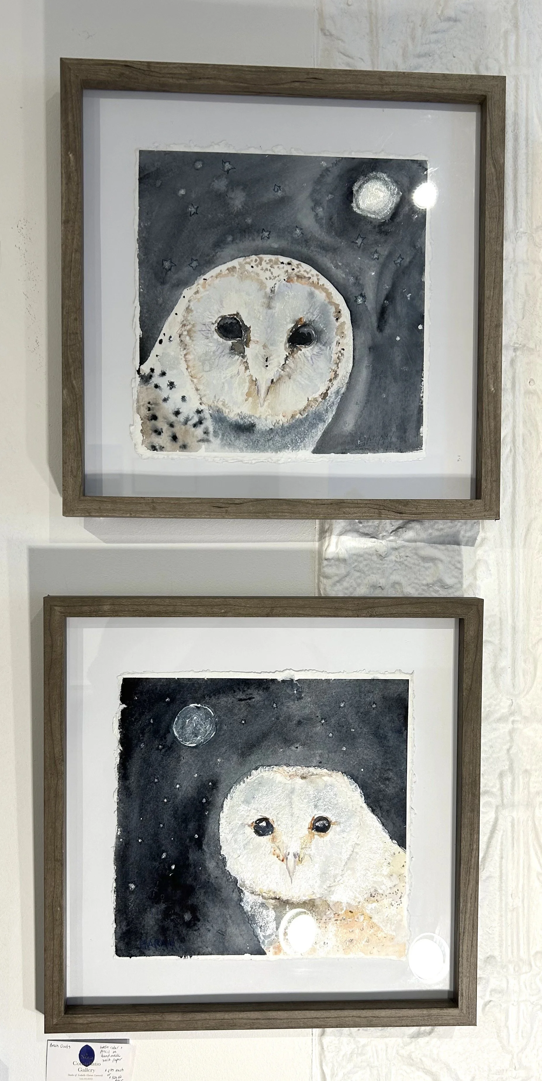 watercolor owls copy.jpeg