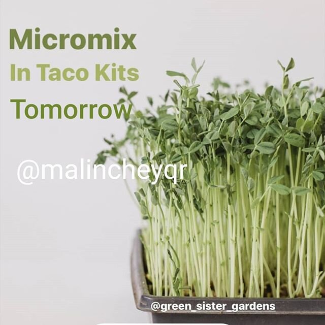 Get your bag of green goodness tomorrow, included in the amazingly delicious @malincheyqr taco kits. Trust me they are sooo good (I will be picking one up tomorrow myself)