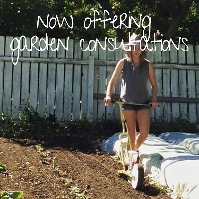 Do you need help designing a garden that can save you time and money?
Do you want to improve food security for you and your family?
Do you have questions about improving your soil, increasing production, mulch or composting?

Our personalized garden 
