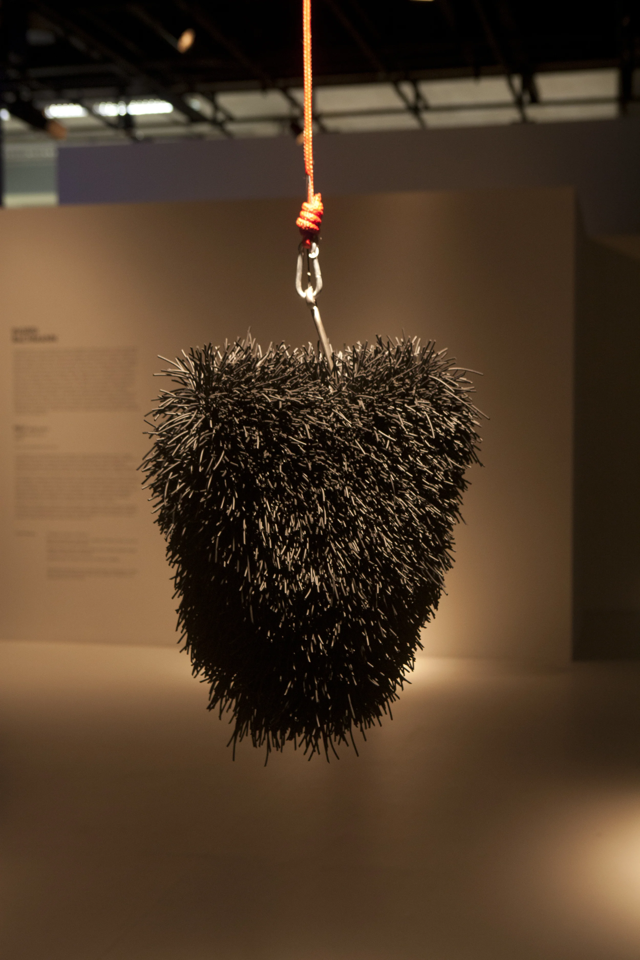 2014-03-21 Exp. Eveil foto Adauto Perín IMG_6285.jpg