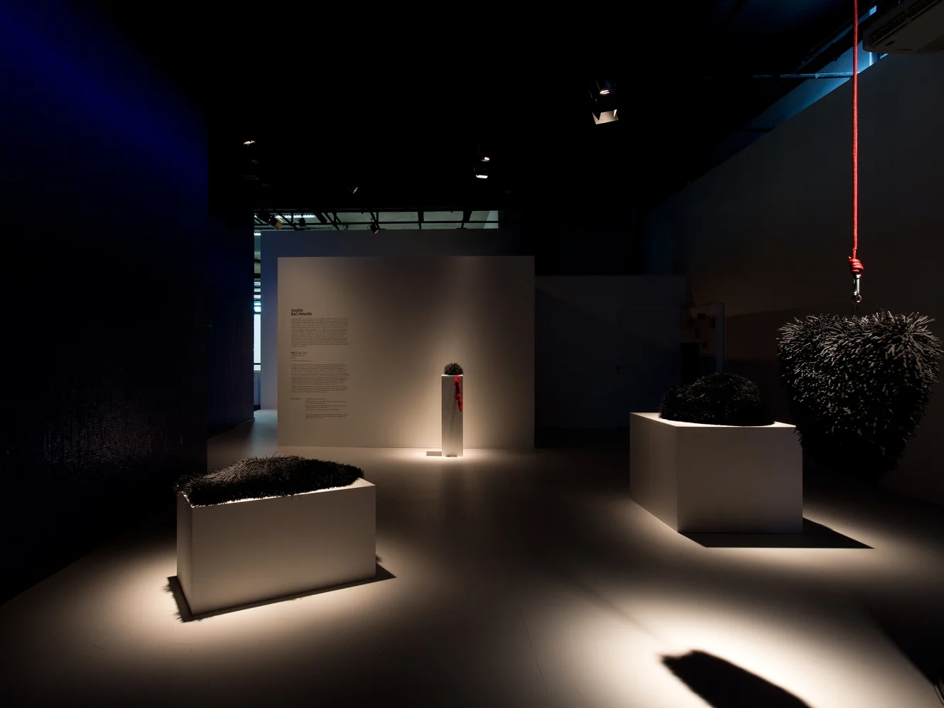 2014-03-14 Expo Eveil Foto Ed FigueiredoIMG_4214.jpg